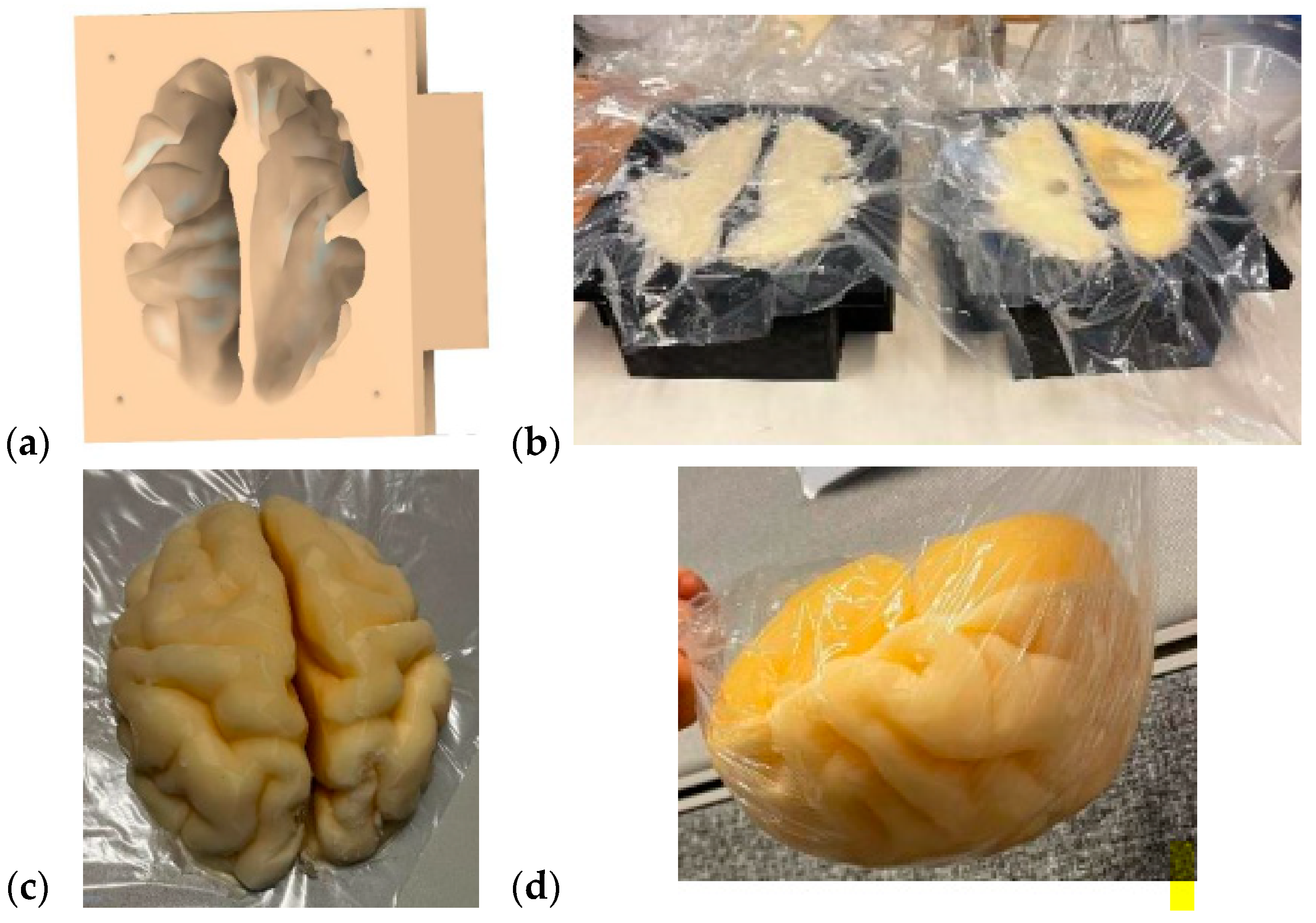 Sensors 24 01975 g004