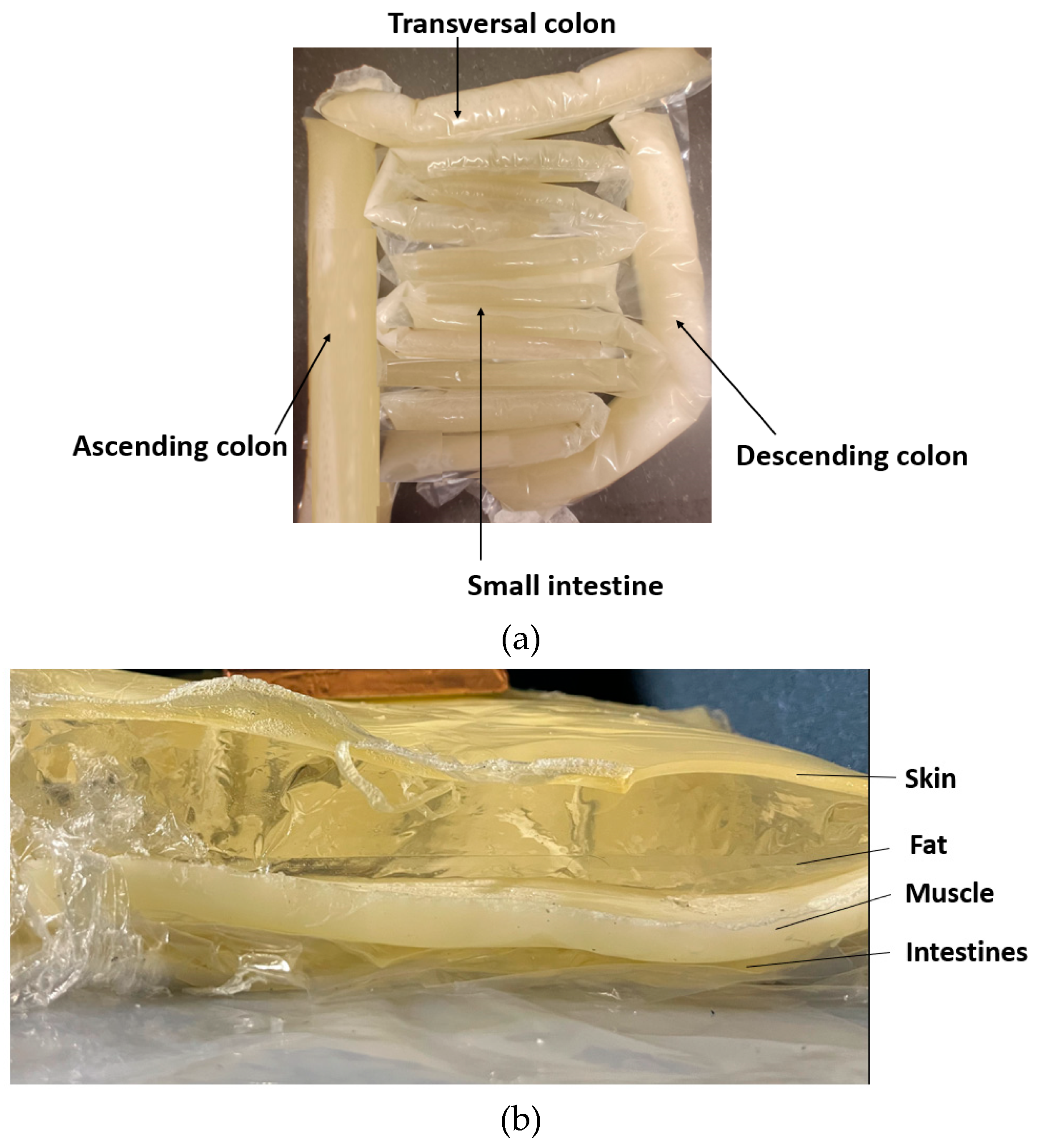 Sensors 24 01975 g006