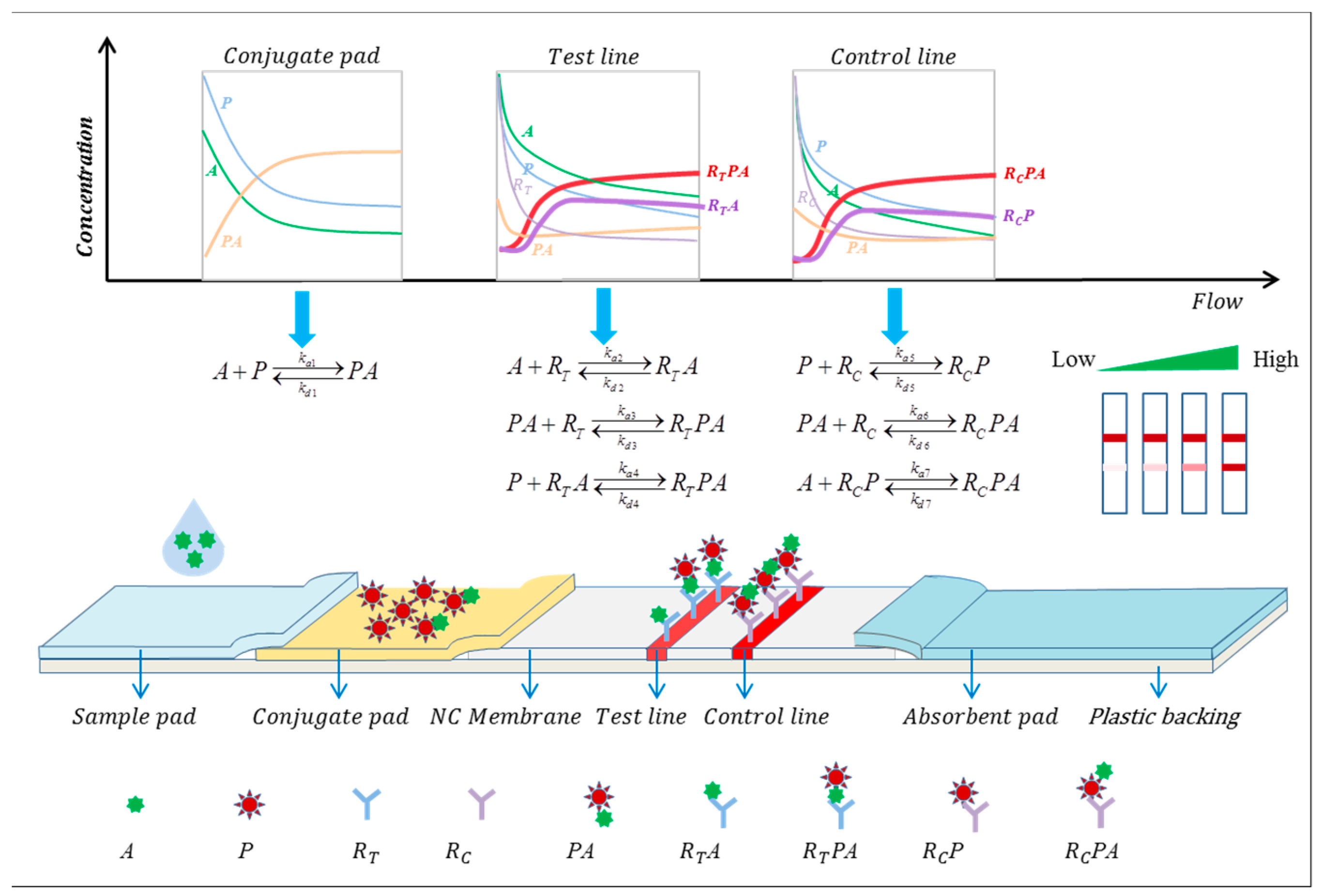 Sensors 24 01989 g001