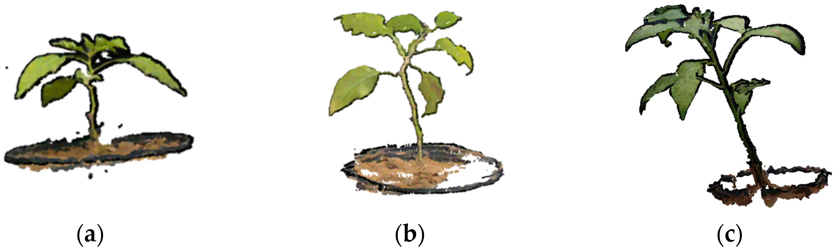 Sensors 24 01998 g010
