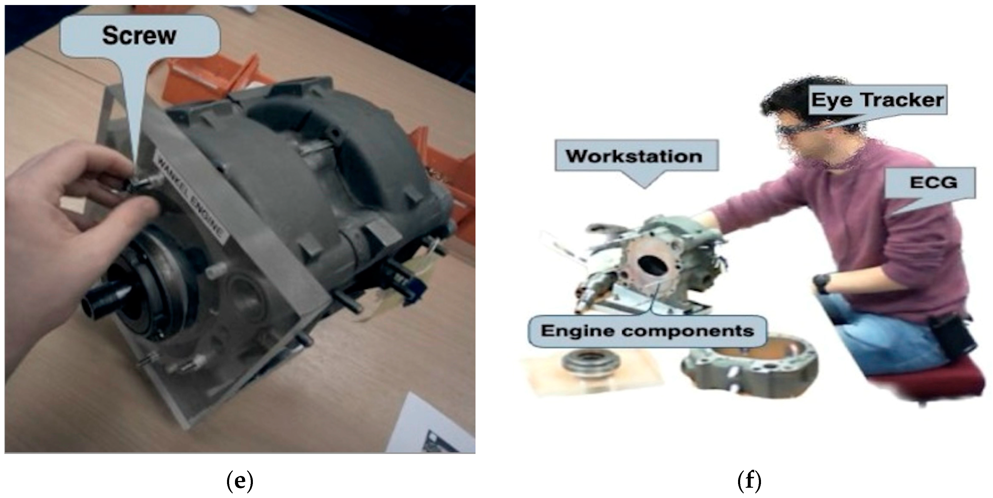 Sensors 24 02010 g002b