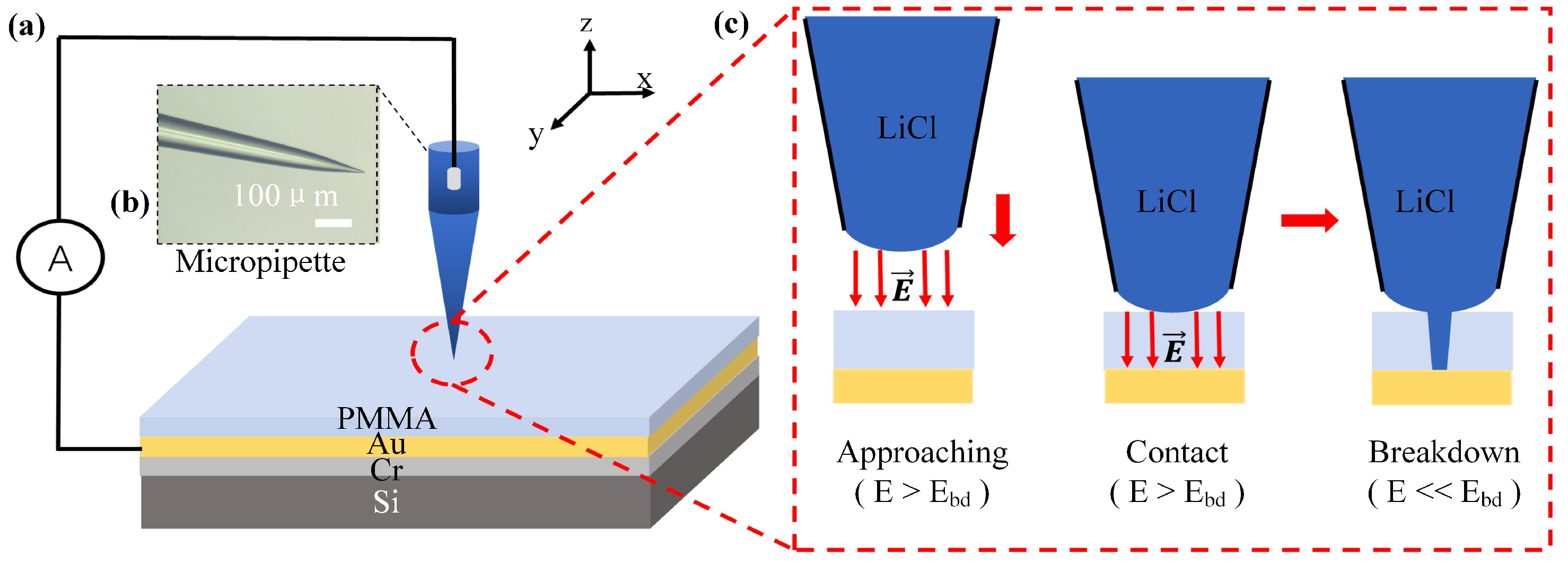 Sensors 24 02109 g001