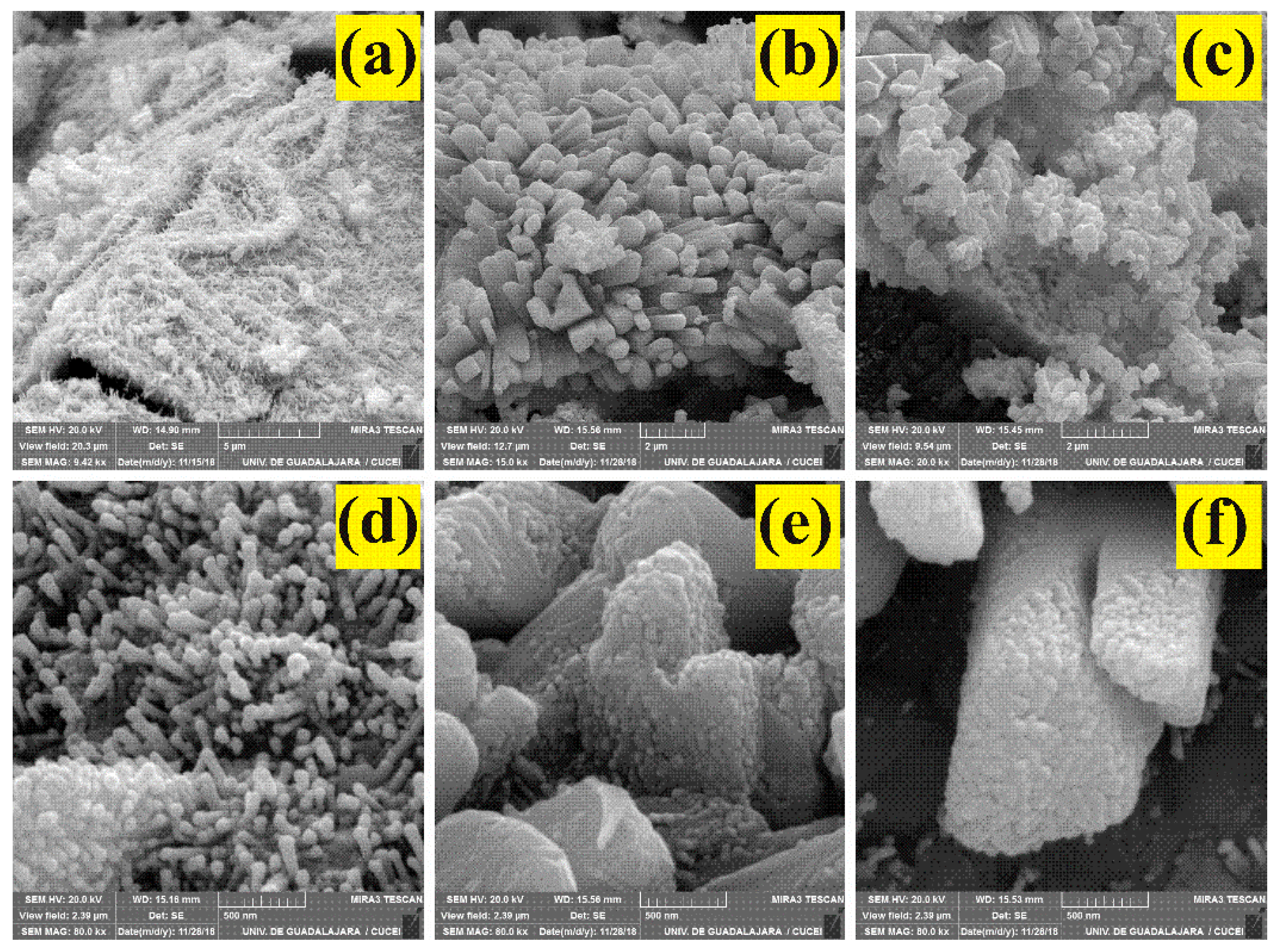 Sensors 24 02147 g004