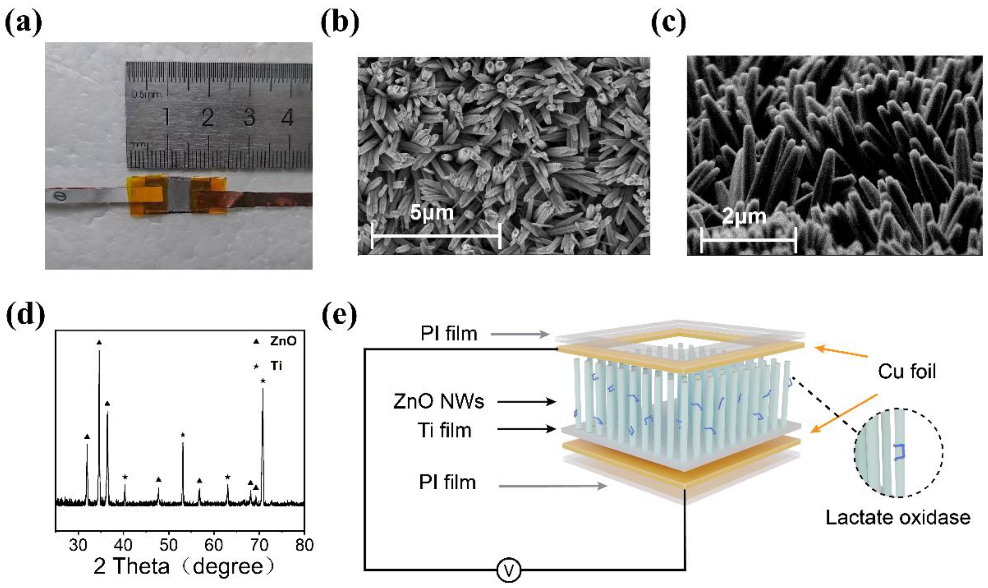Sensors 24 02161 g002