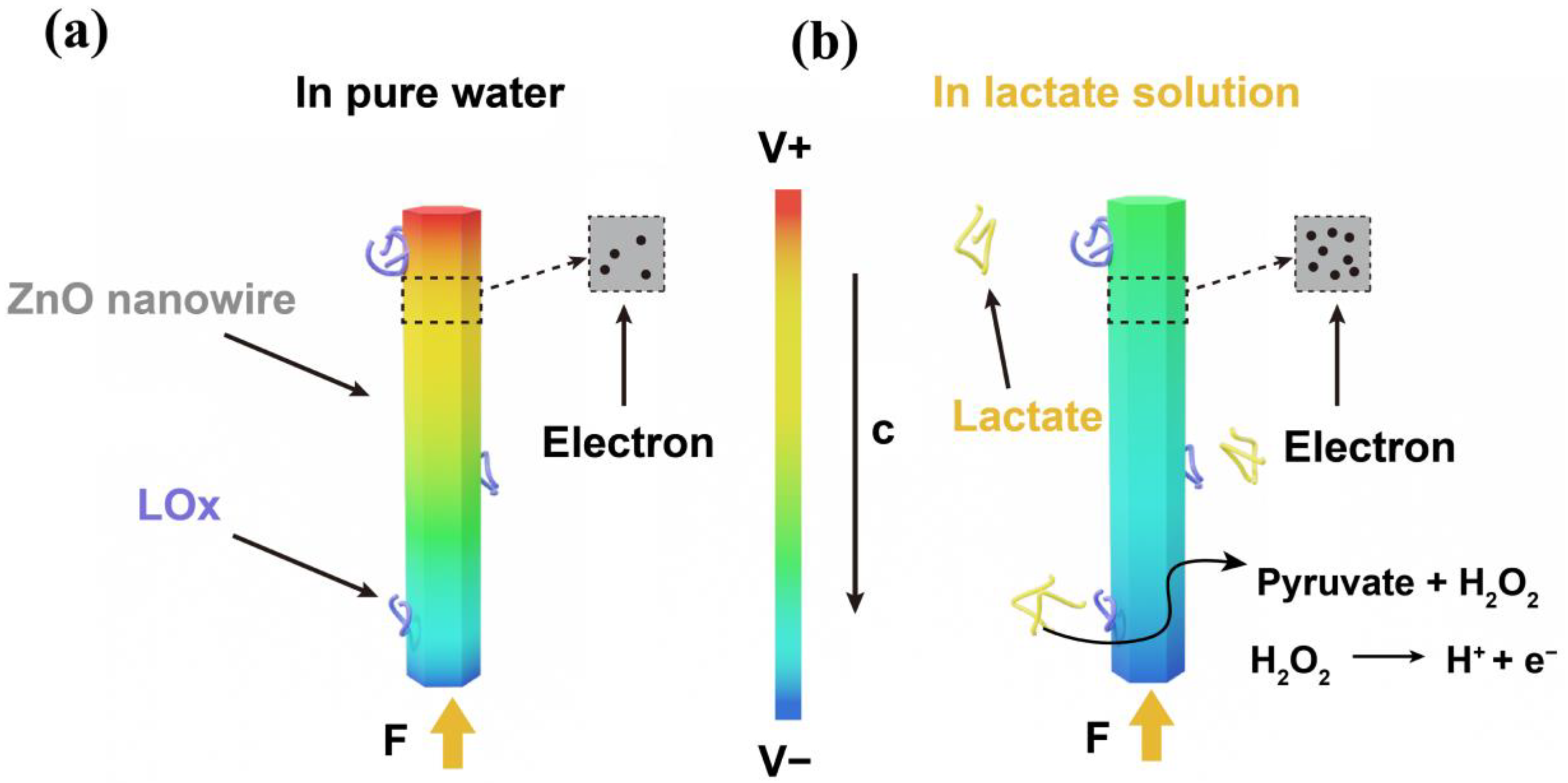 Sensors 24 02161 g005