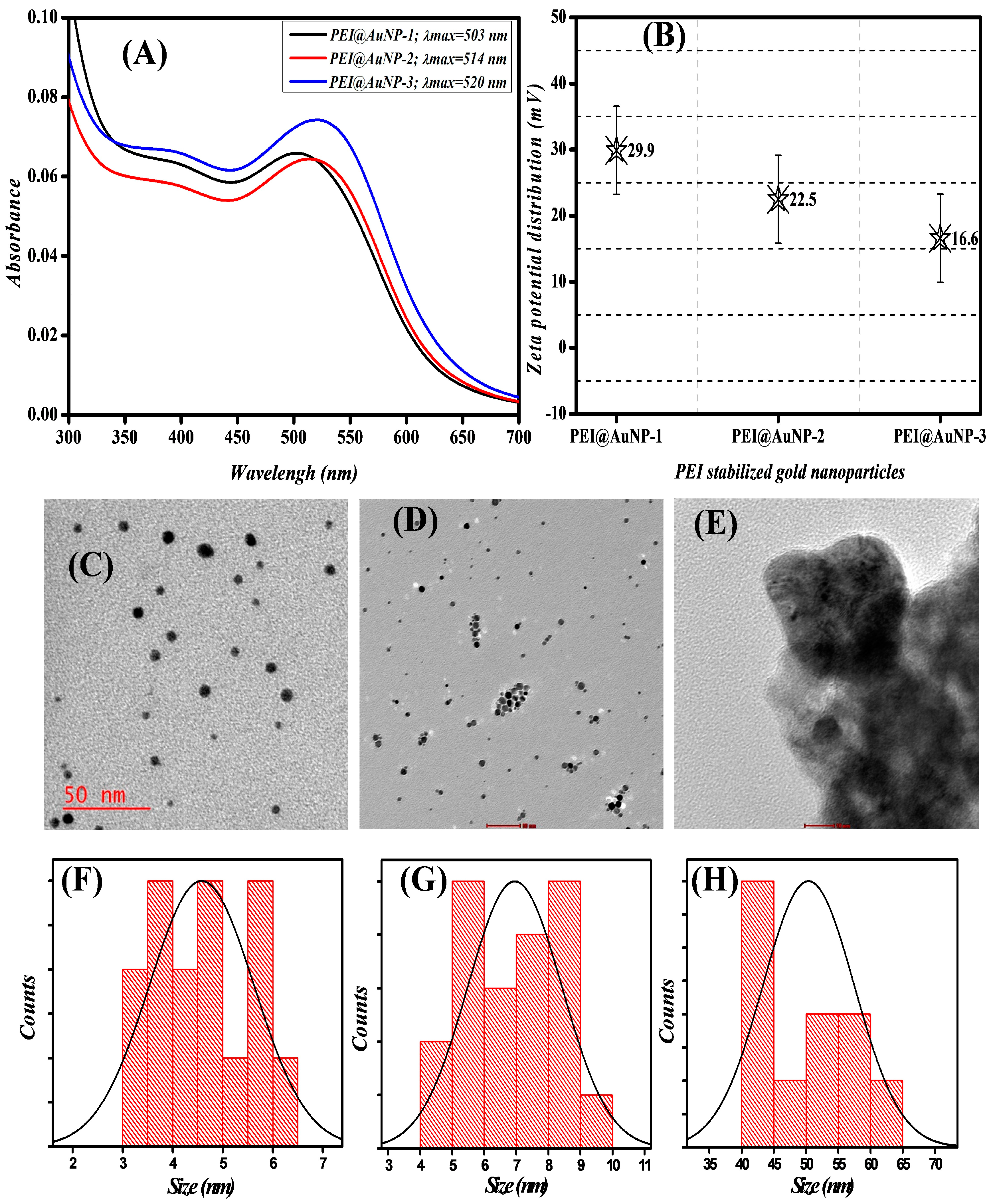Sensors 24 02169 g001