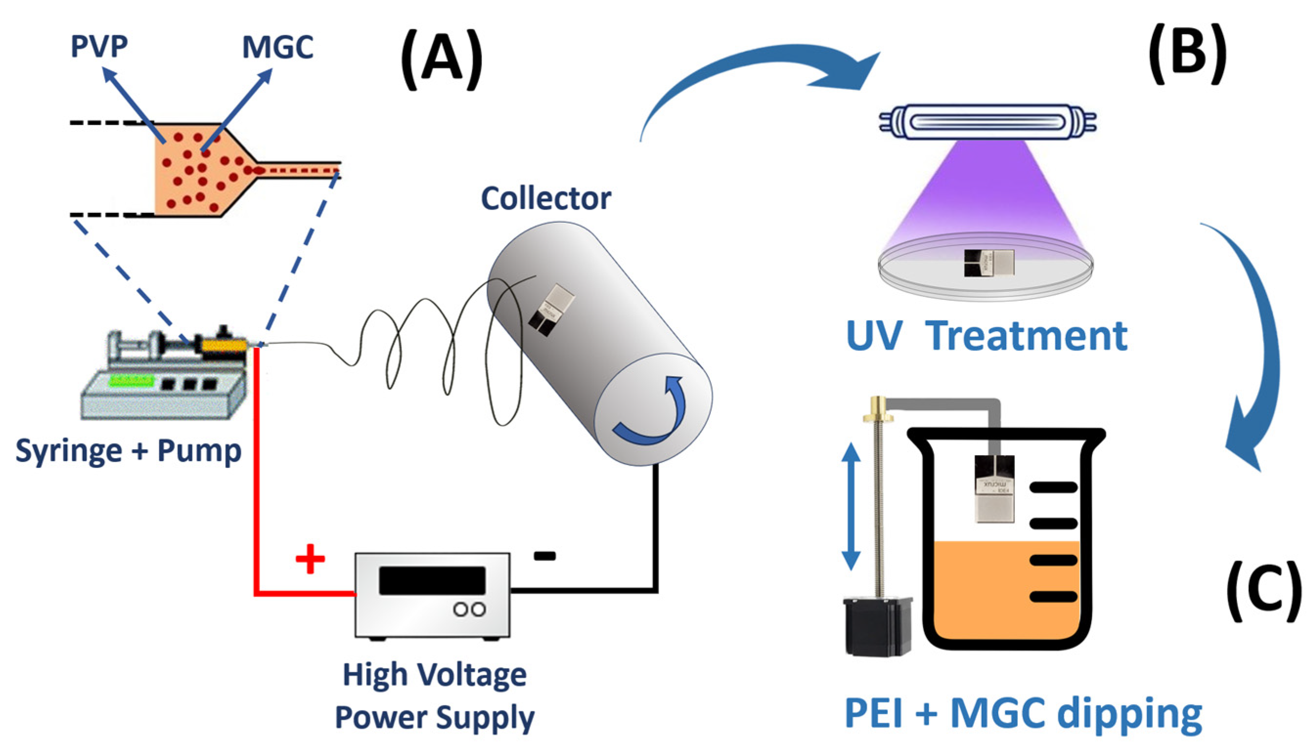 Sensors 24 02174 g001