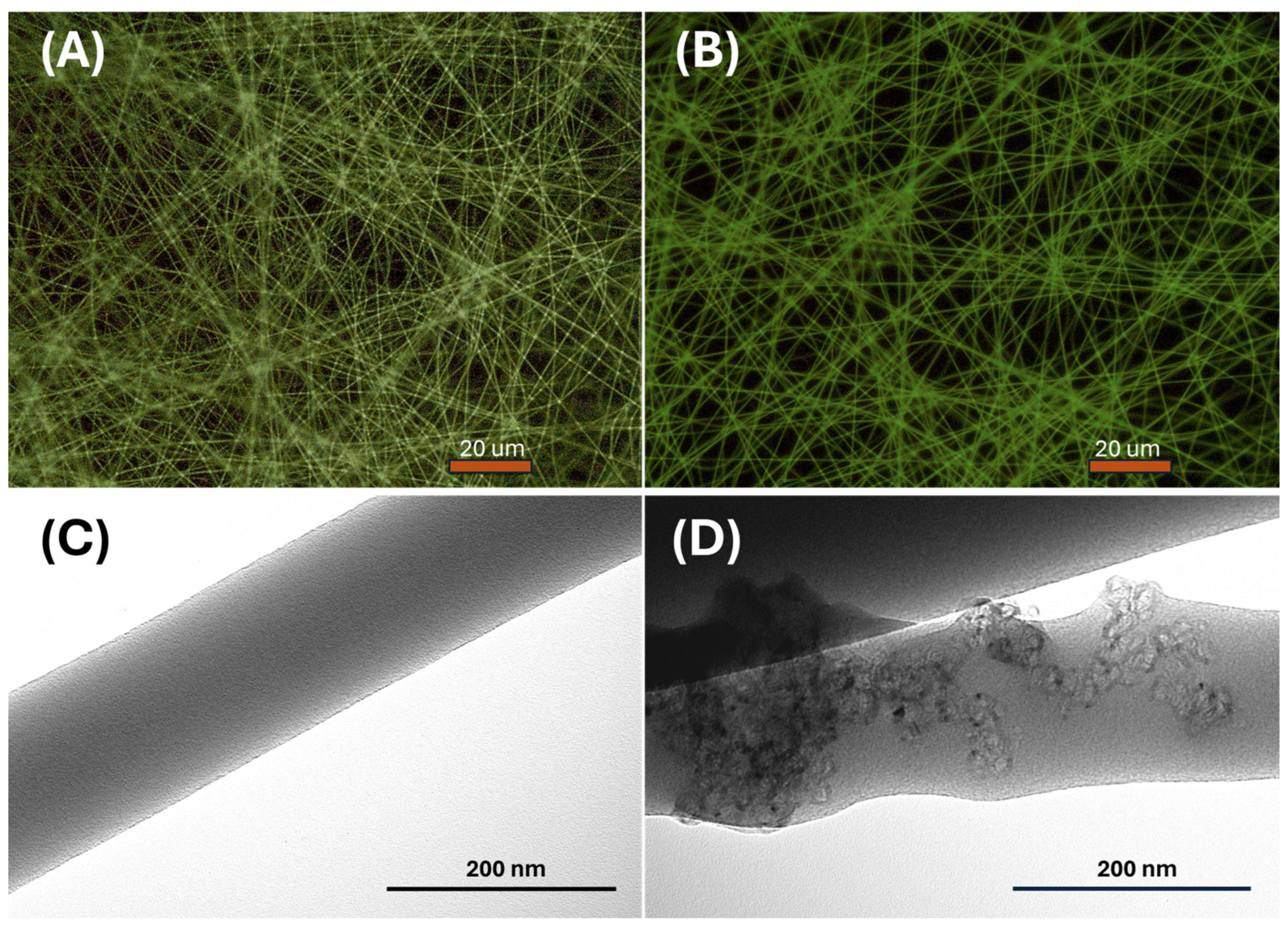 Sensors 24 02174 g004