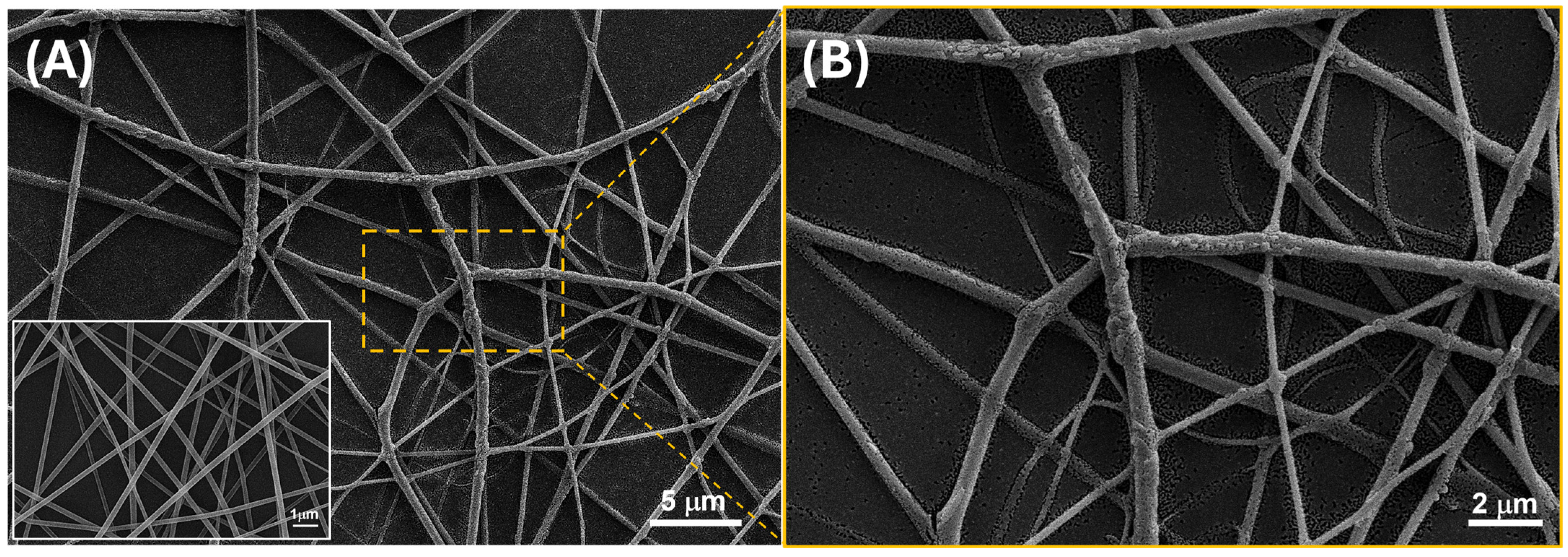 Sensors 24 02174 g006