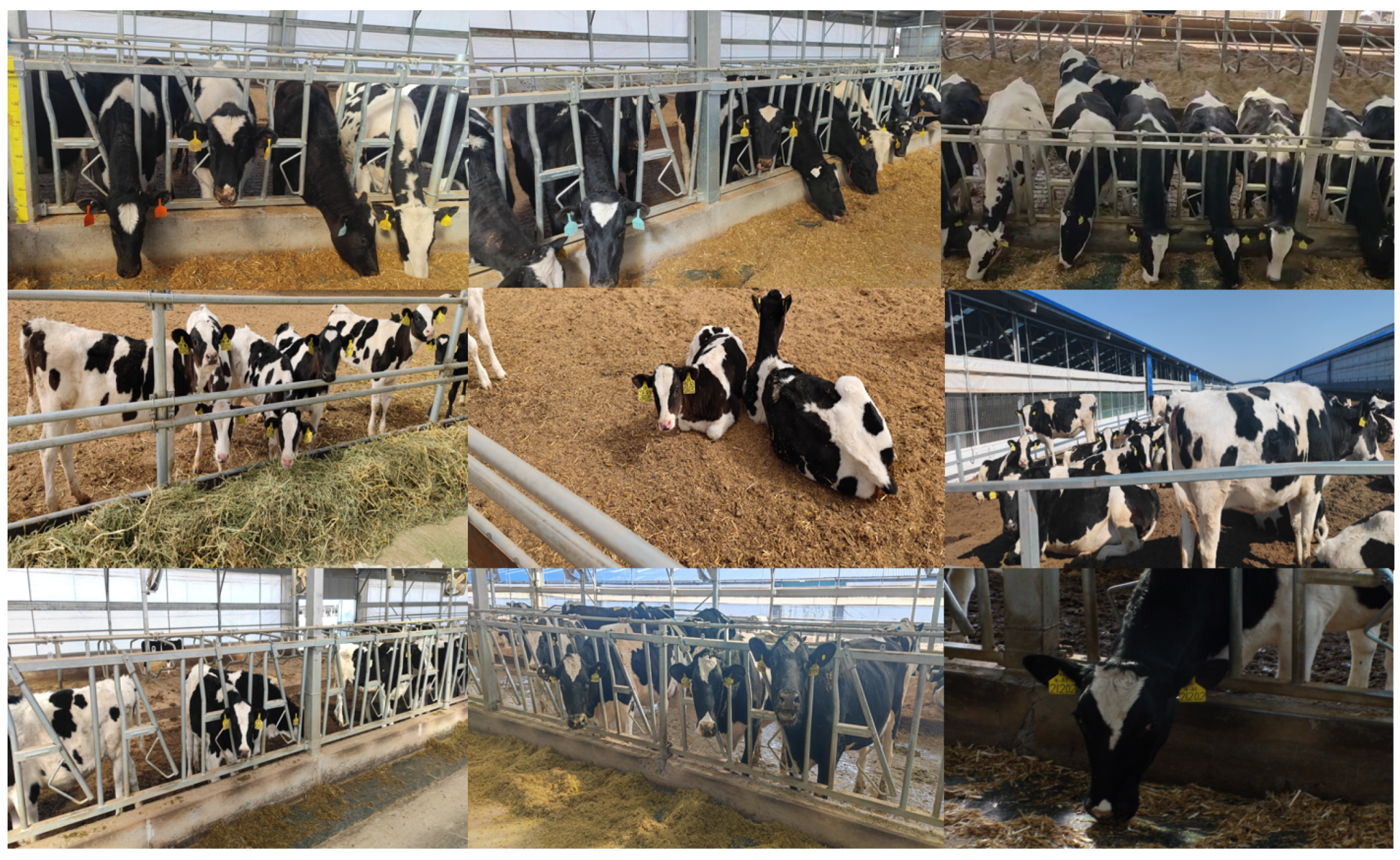 Sensors 24 02194 g001