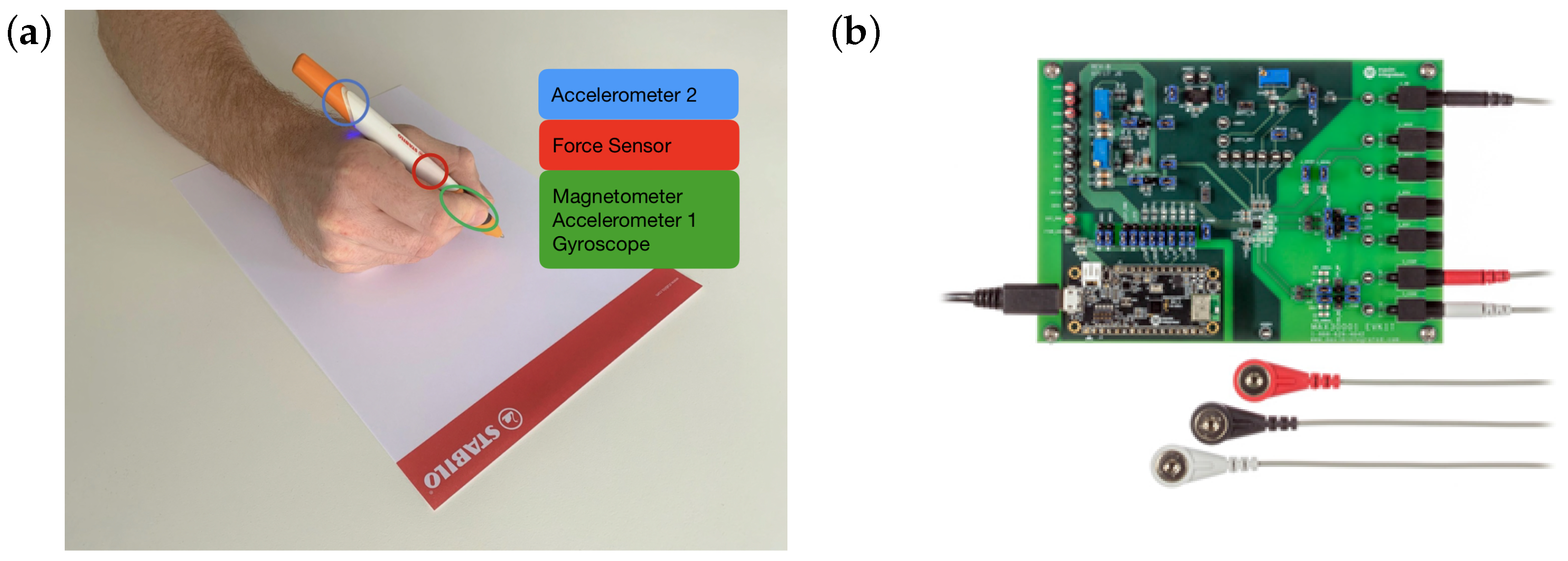 Sensors 24 02238 g001