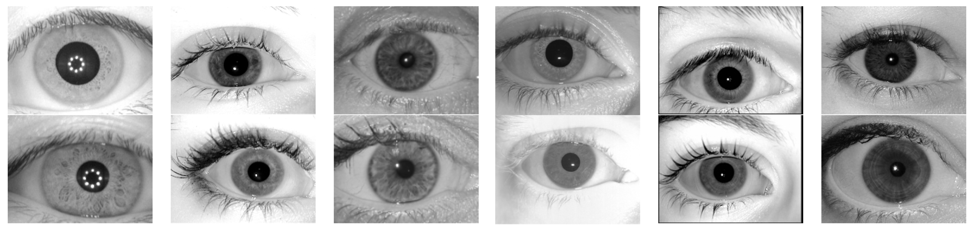 Sensors 24 02269 g001