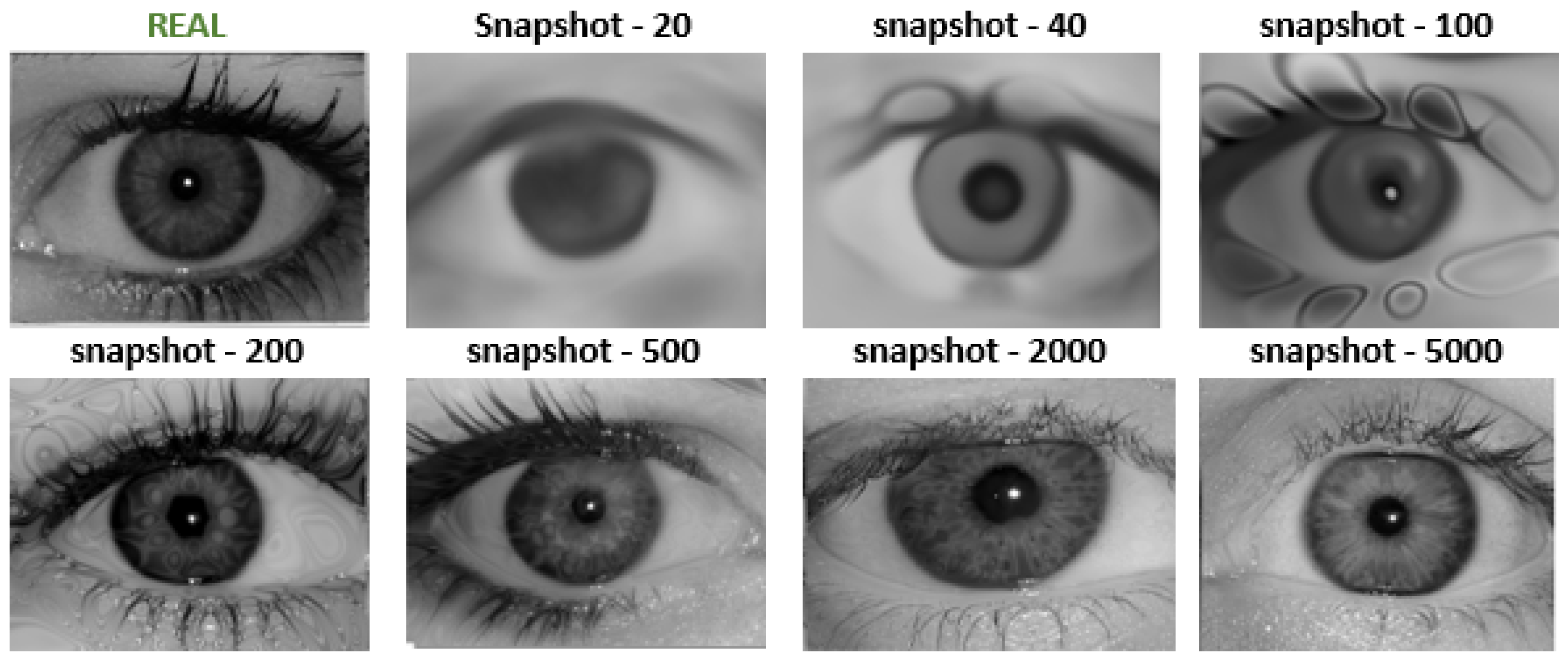 Sensors 24 02269 g002