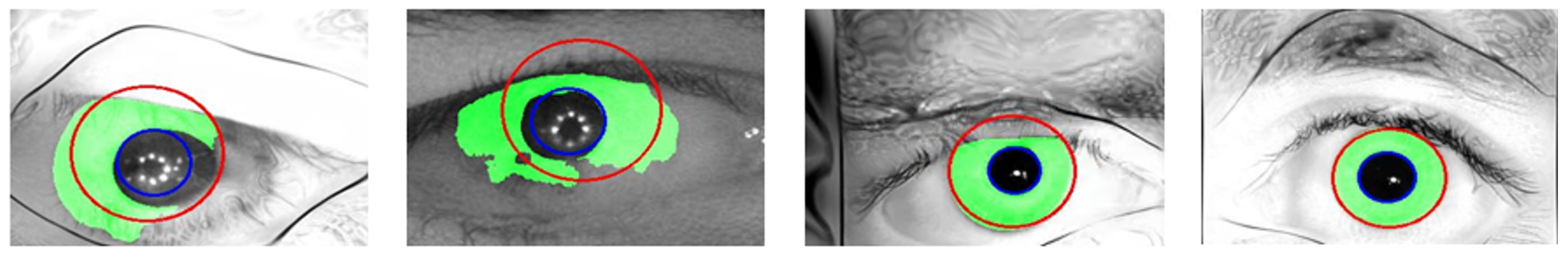 Sensors 24 02269 g007
