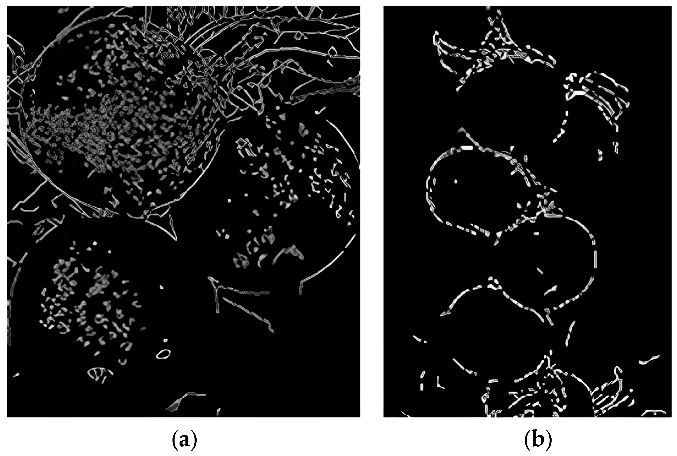 Sensors 24 02283 g007