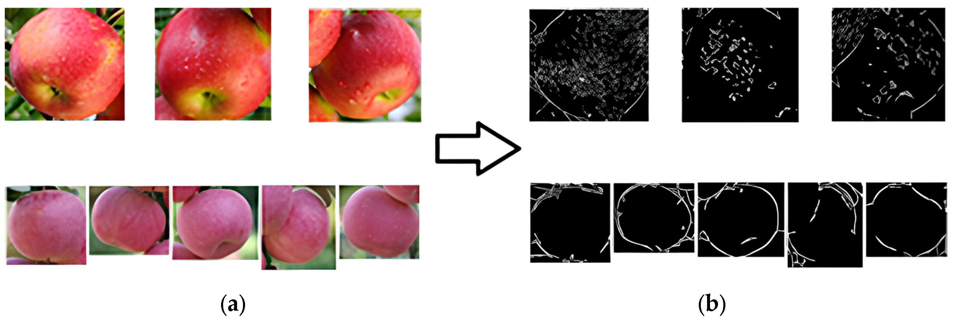 Sensors 24 02283 g008