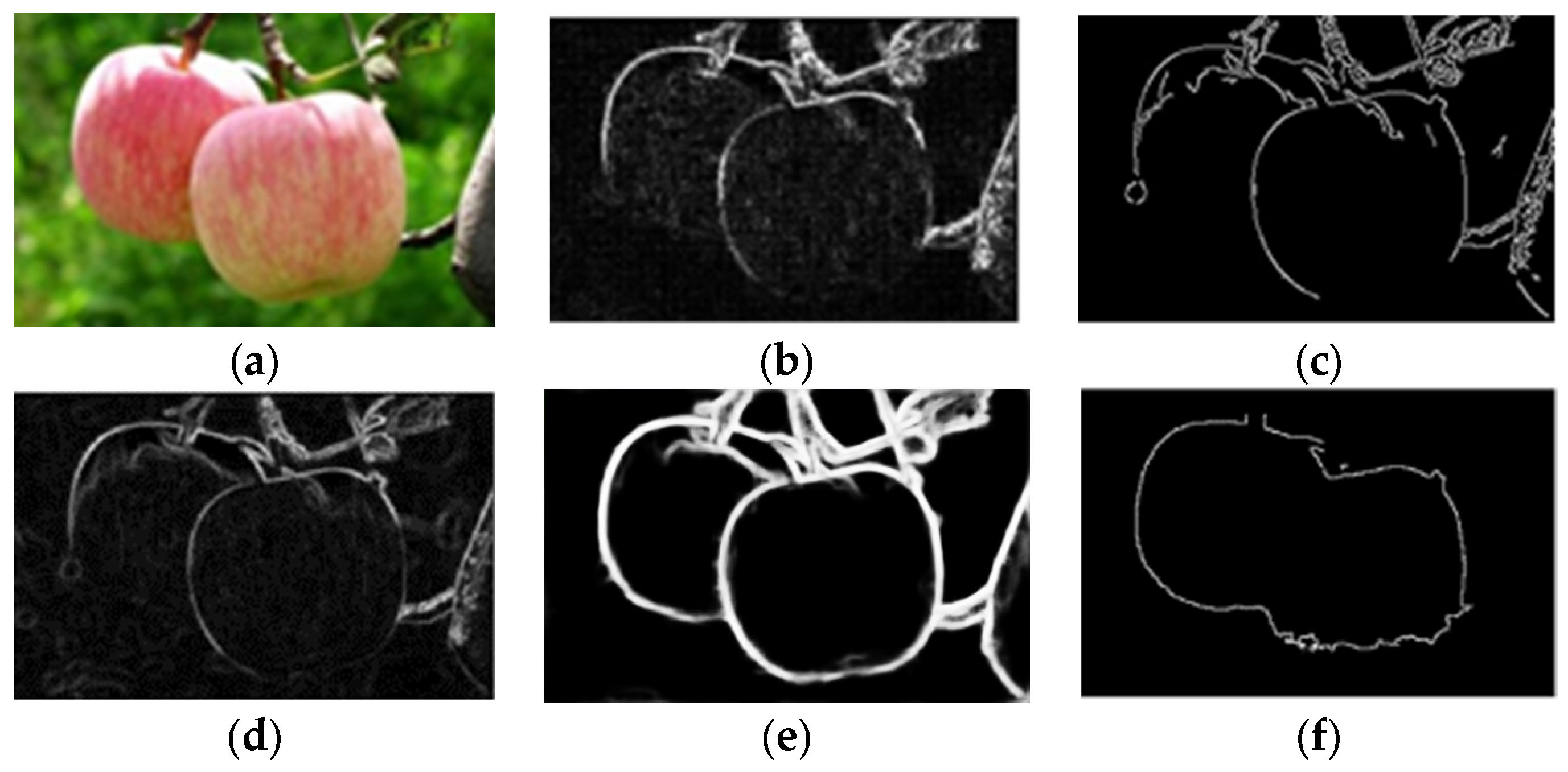 Sensors 24 02283 g016