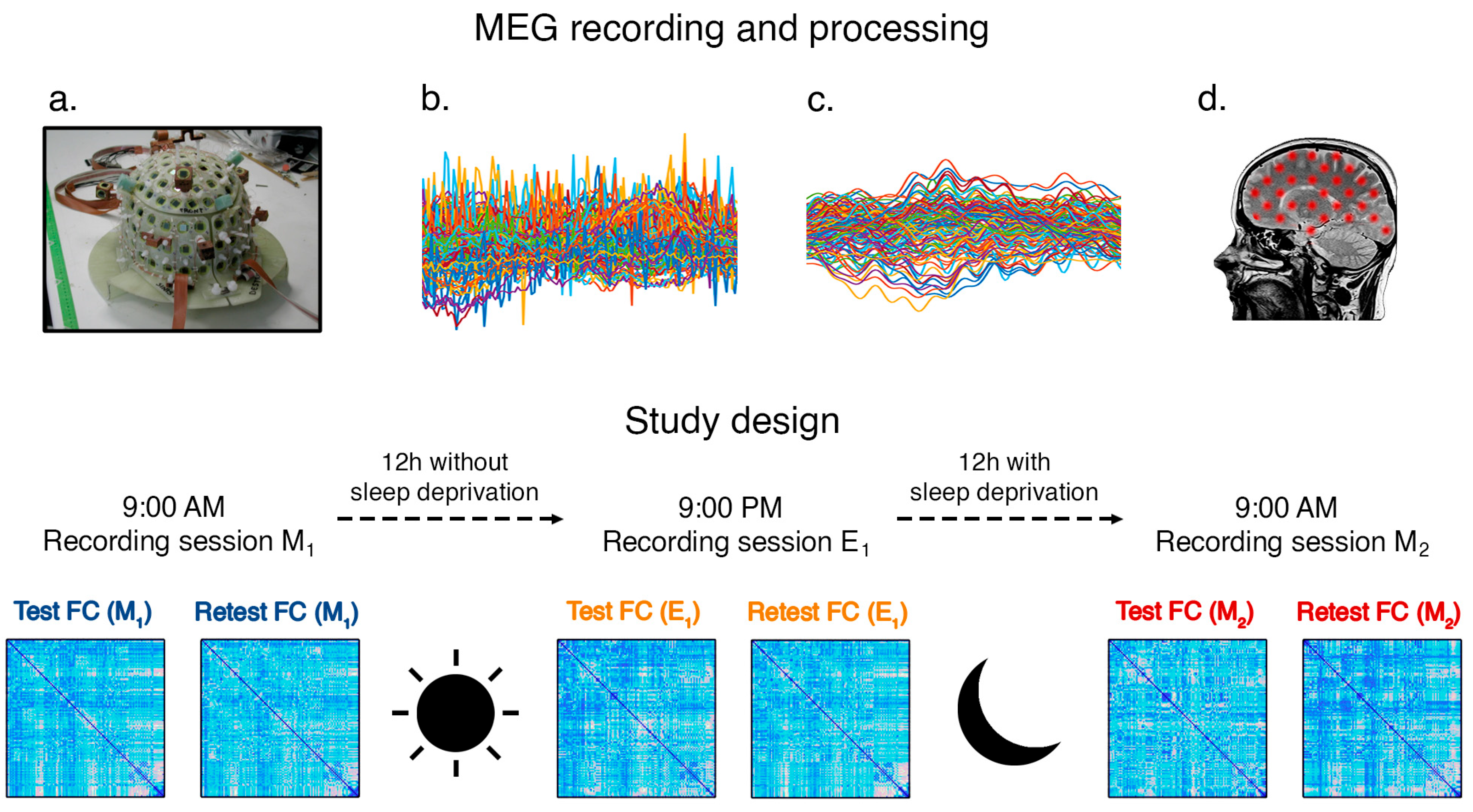 Sensors 24 02301 g001