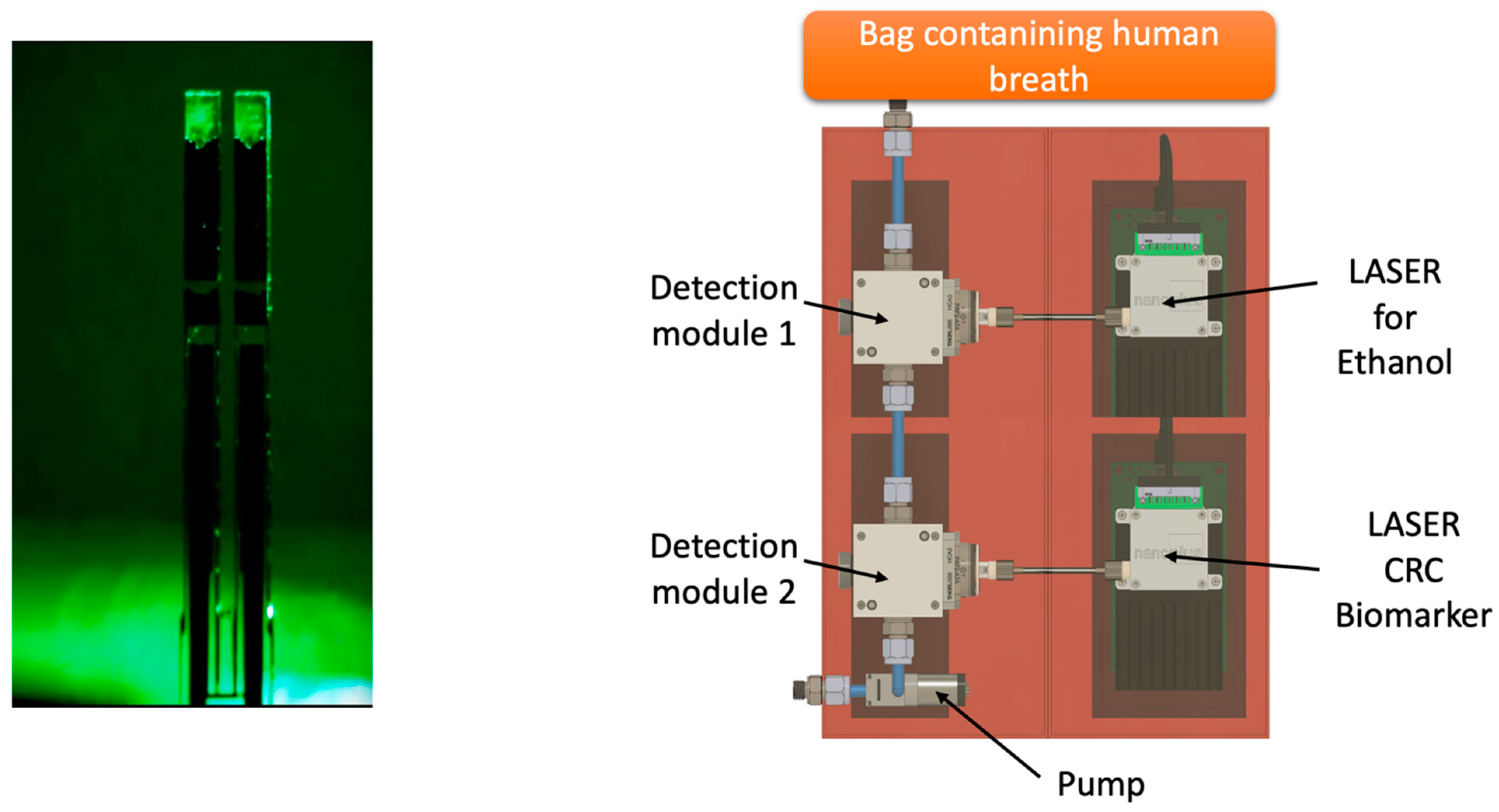 Sensors 24 02343 g004