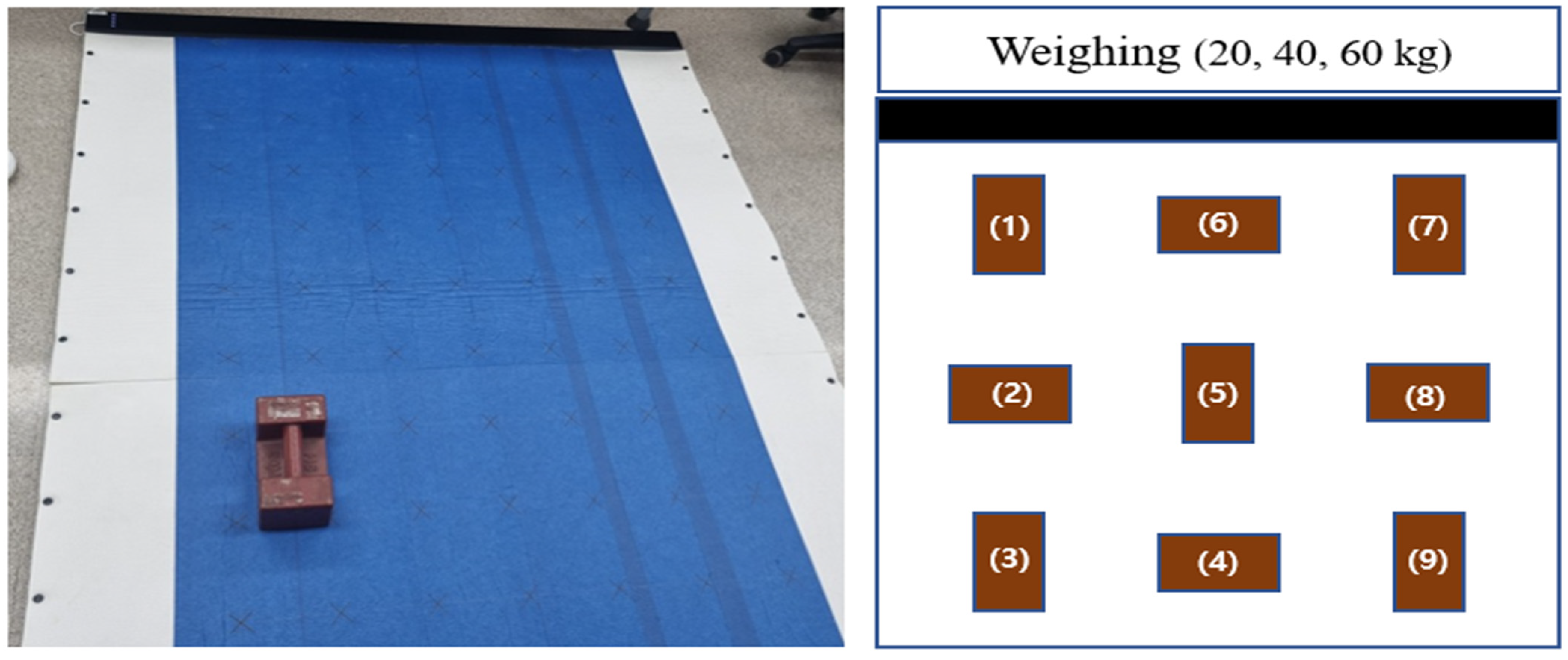 Sensors 24 02363 g006