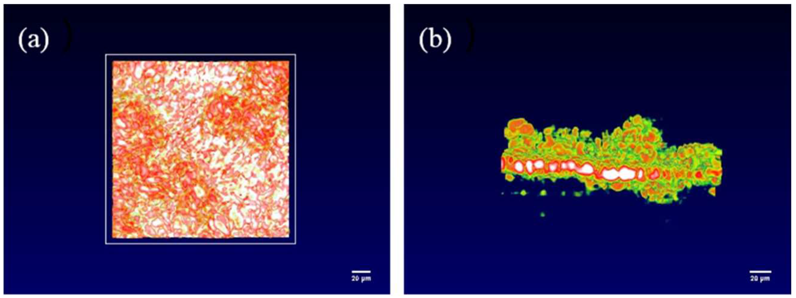 Sensors 24 02392 g005