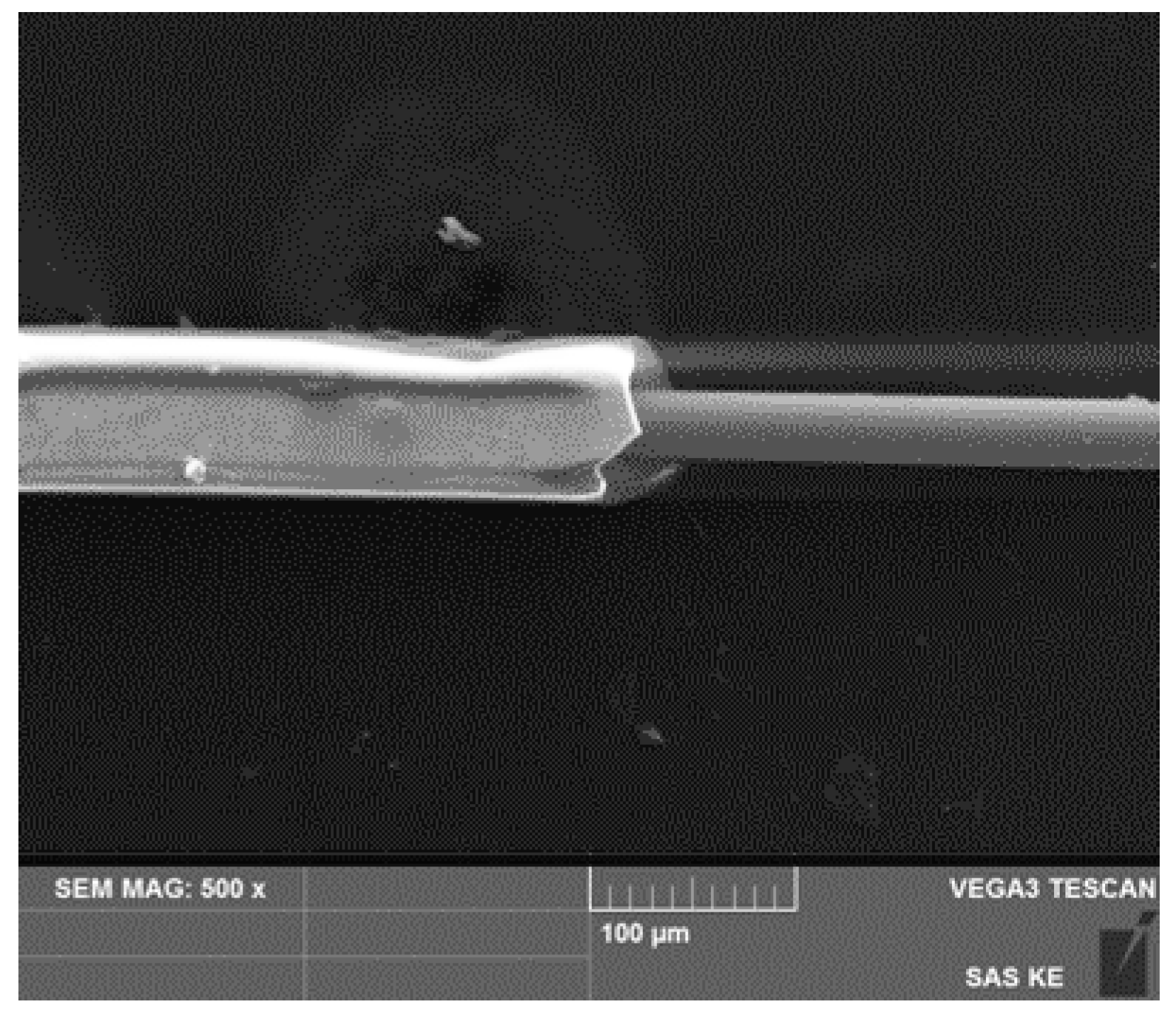 Sensors 24 02423 g001