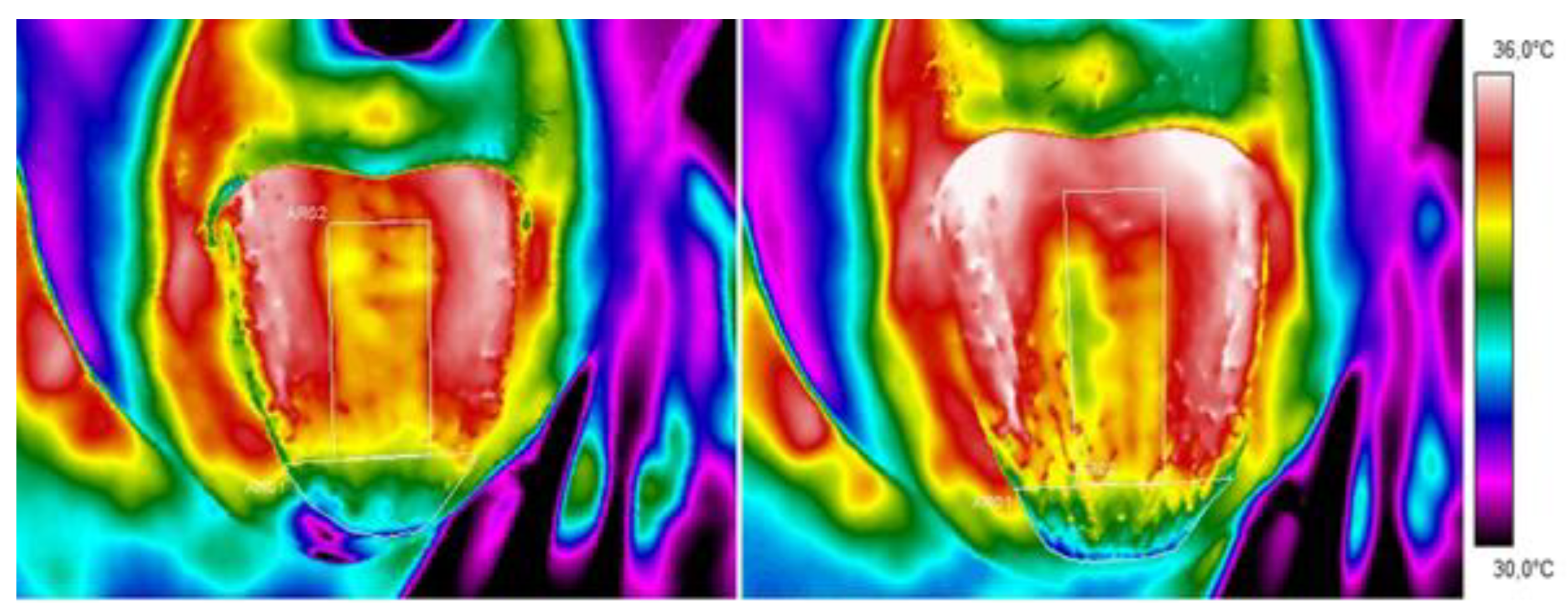 Sensors 24 02447 g001