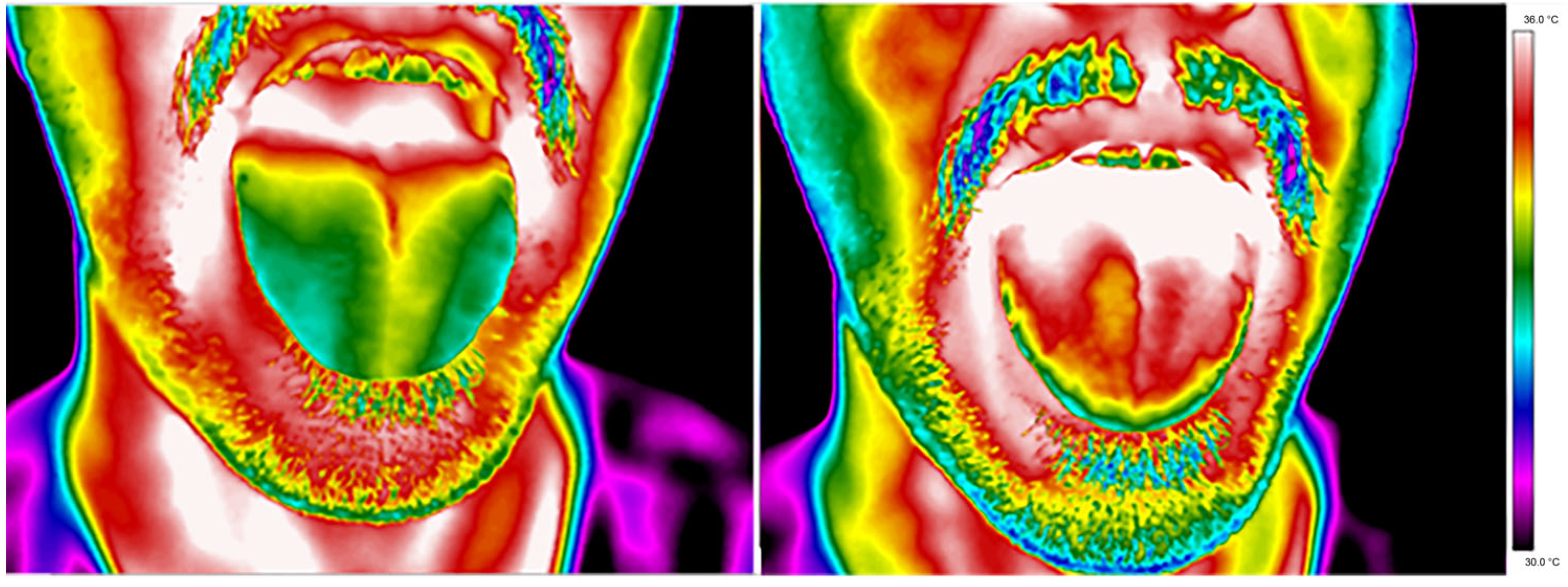 Sensors 24 02447 g002