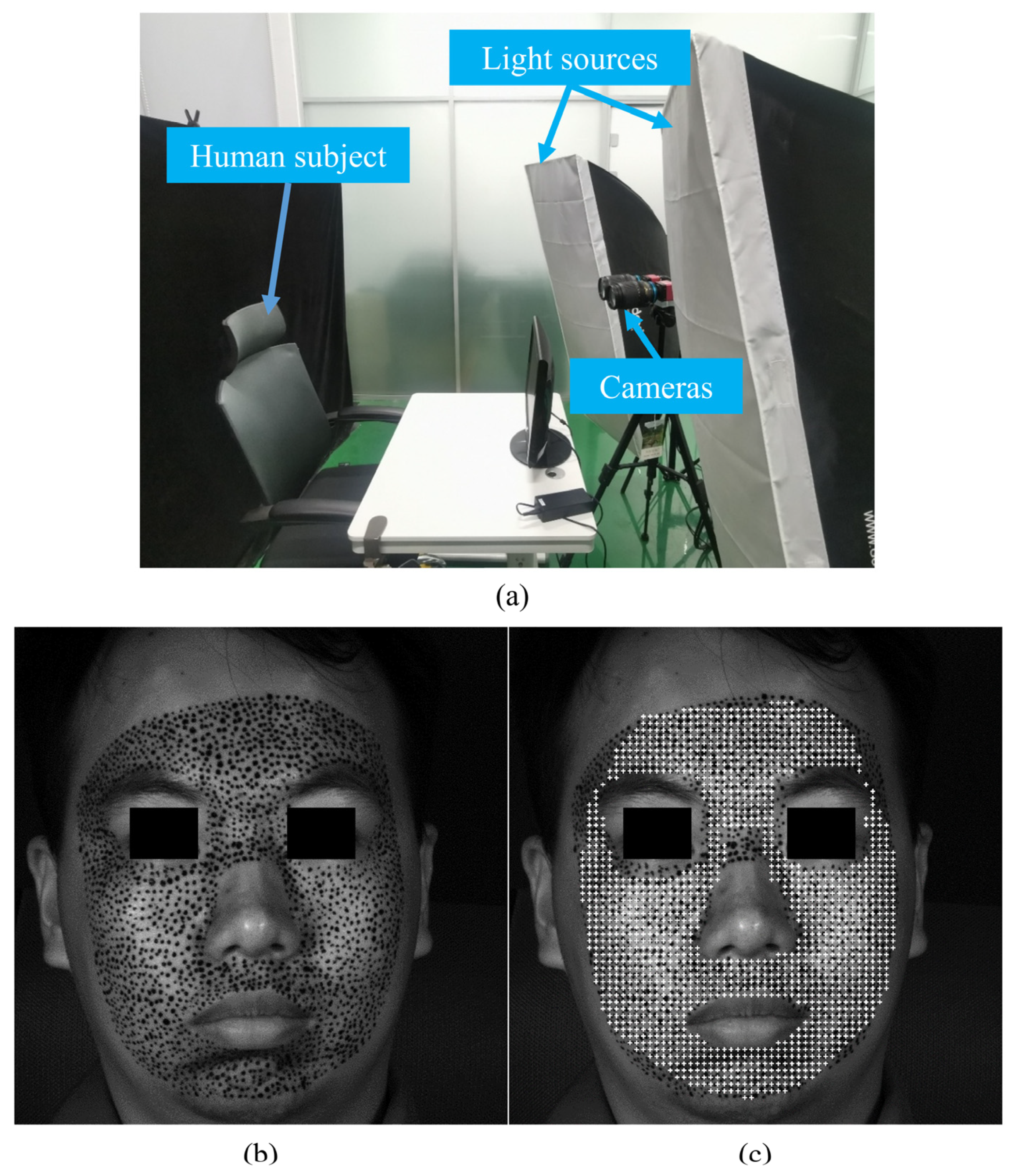 Sensors 24 02450 g006