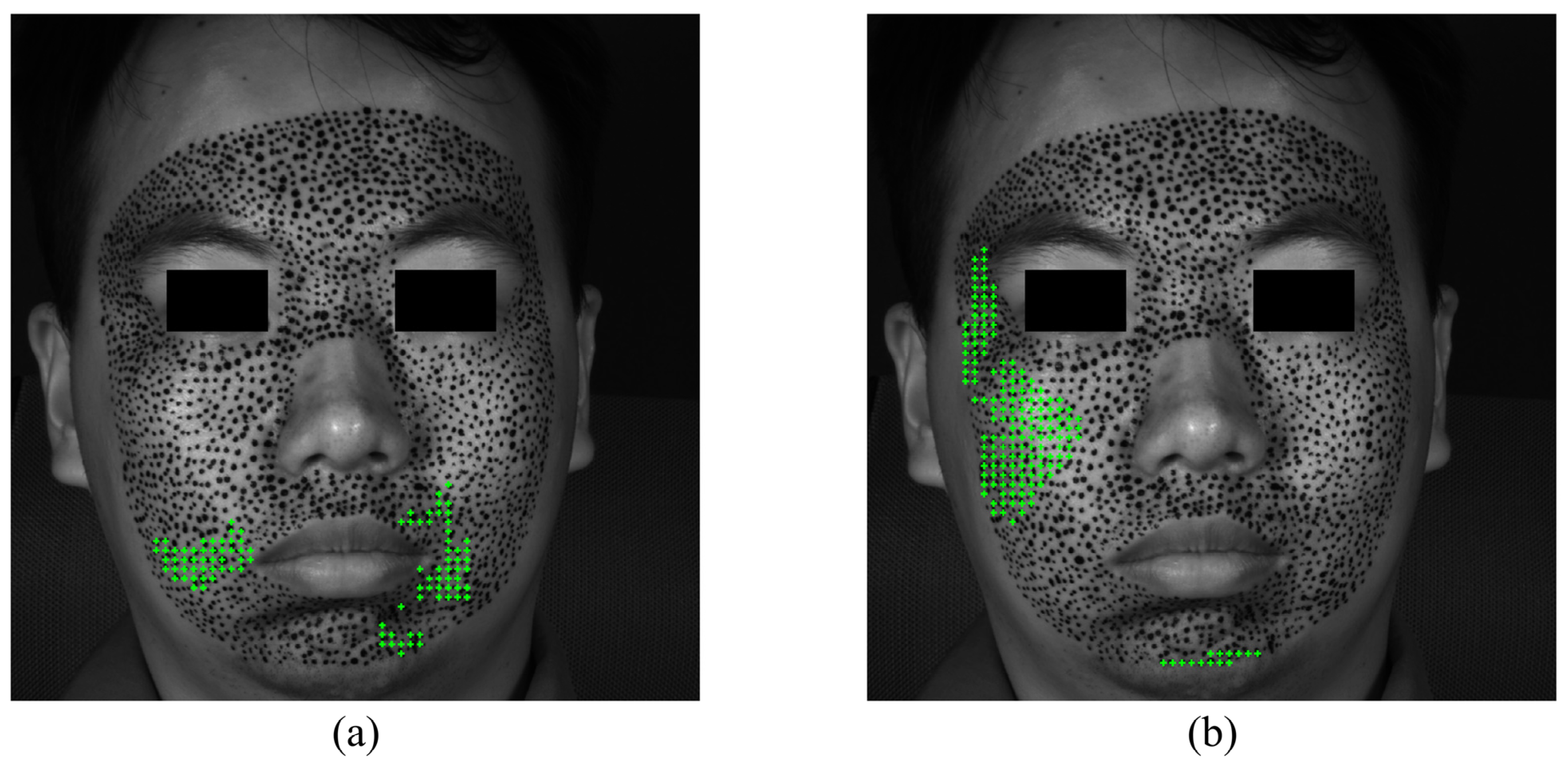 Sensors 24 02450 g010