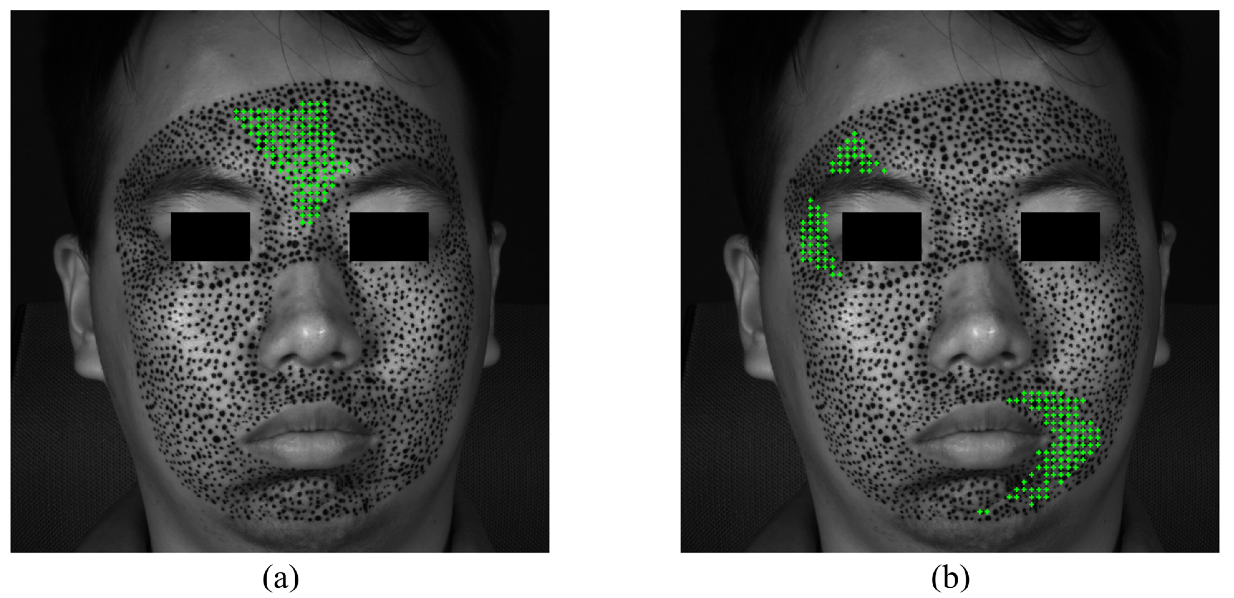Sensors 24 02450 g013