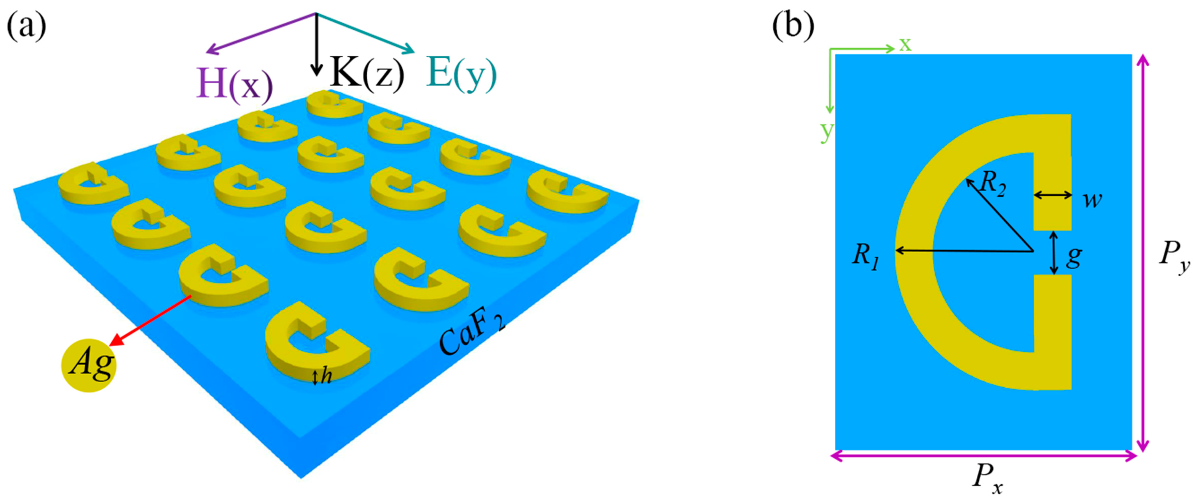 Sensors 24 02479 g001 Sensors 24 02479 g001