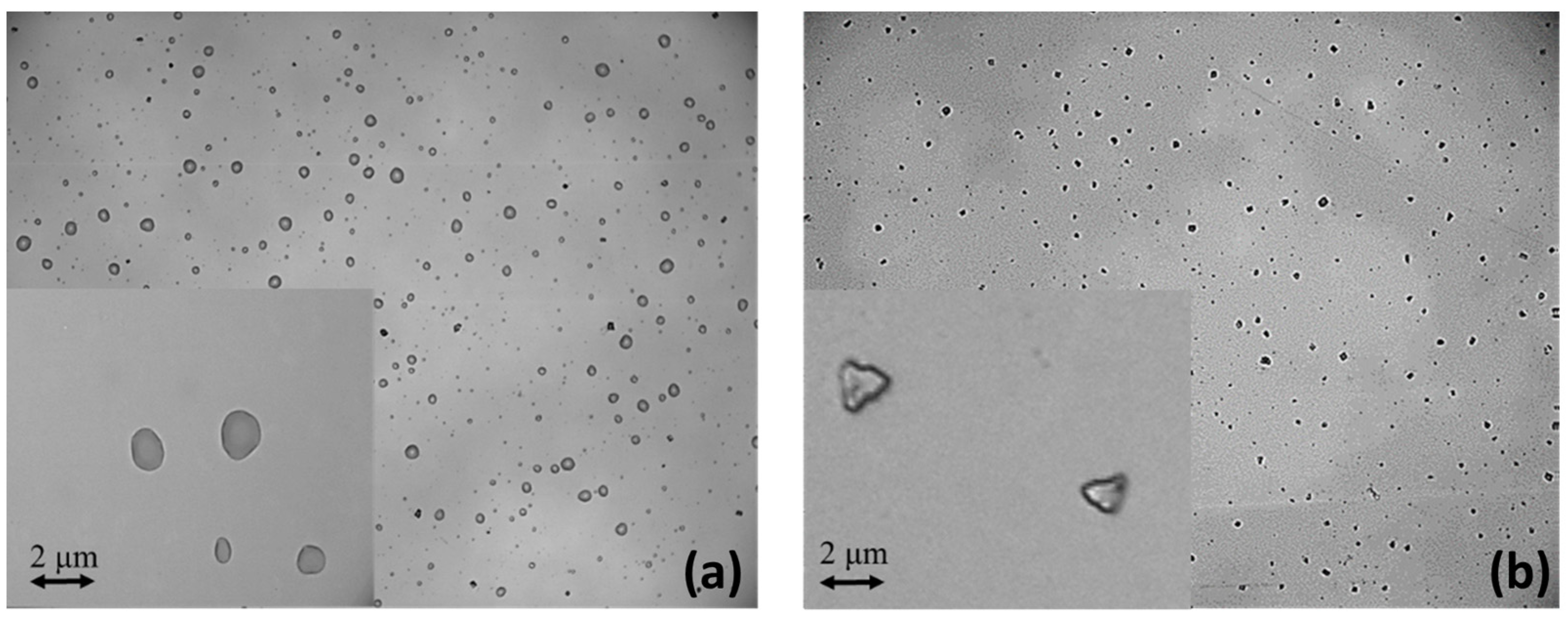 Sensors 24 02500 g001