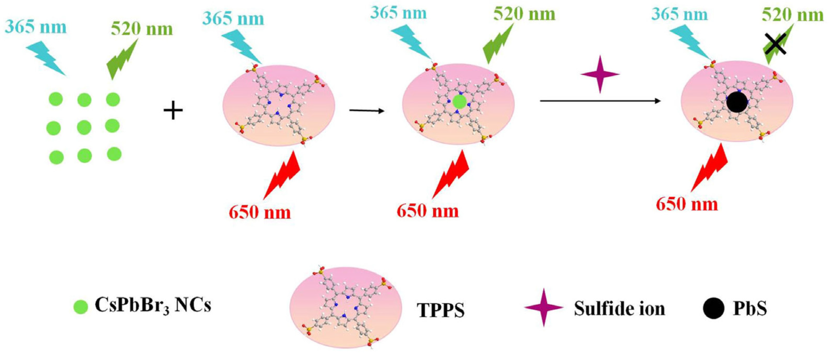 Sensors 24 02504 g010