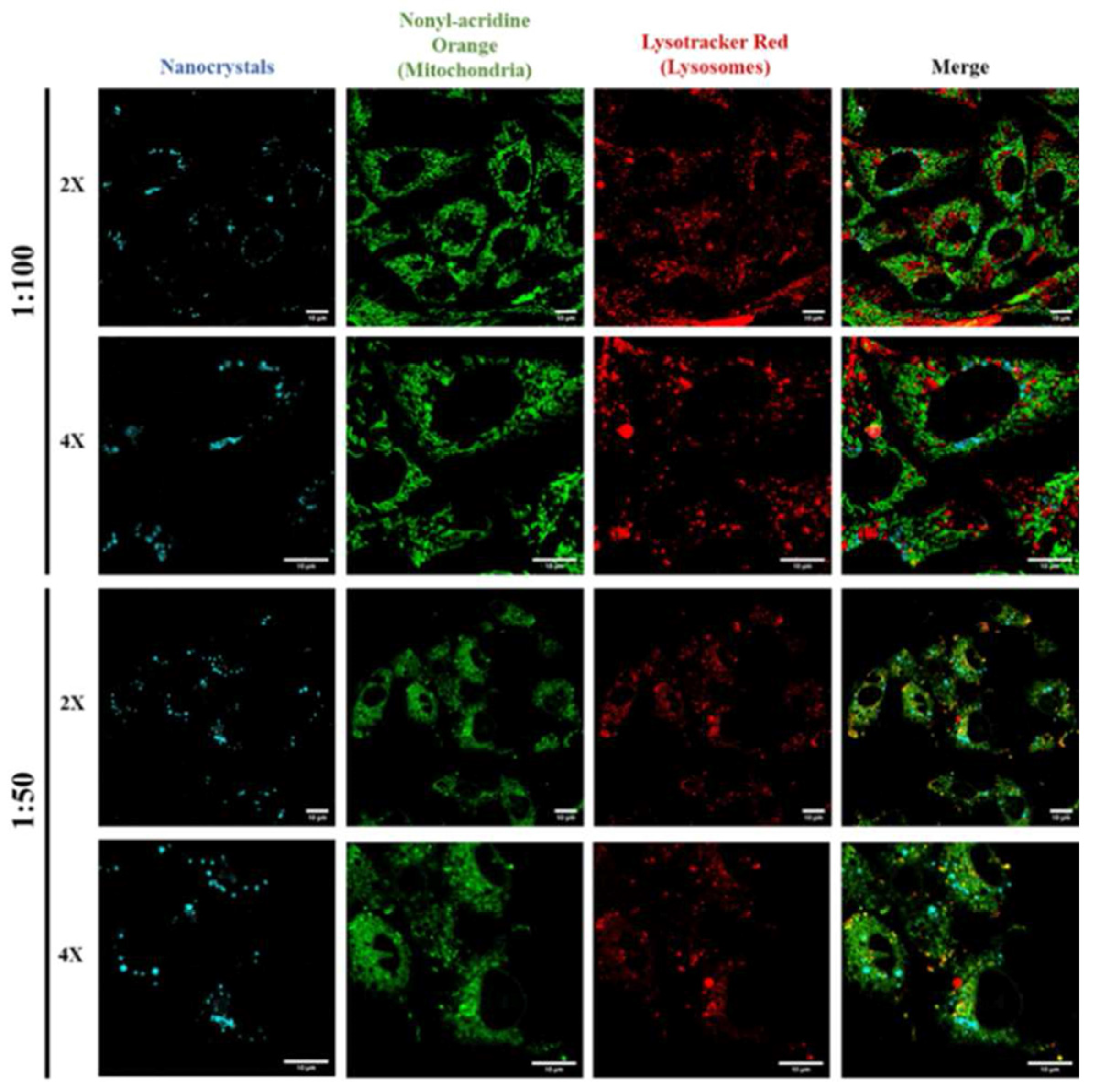 Sensors 24 02504 g027