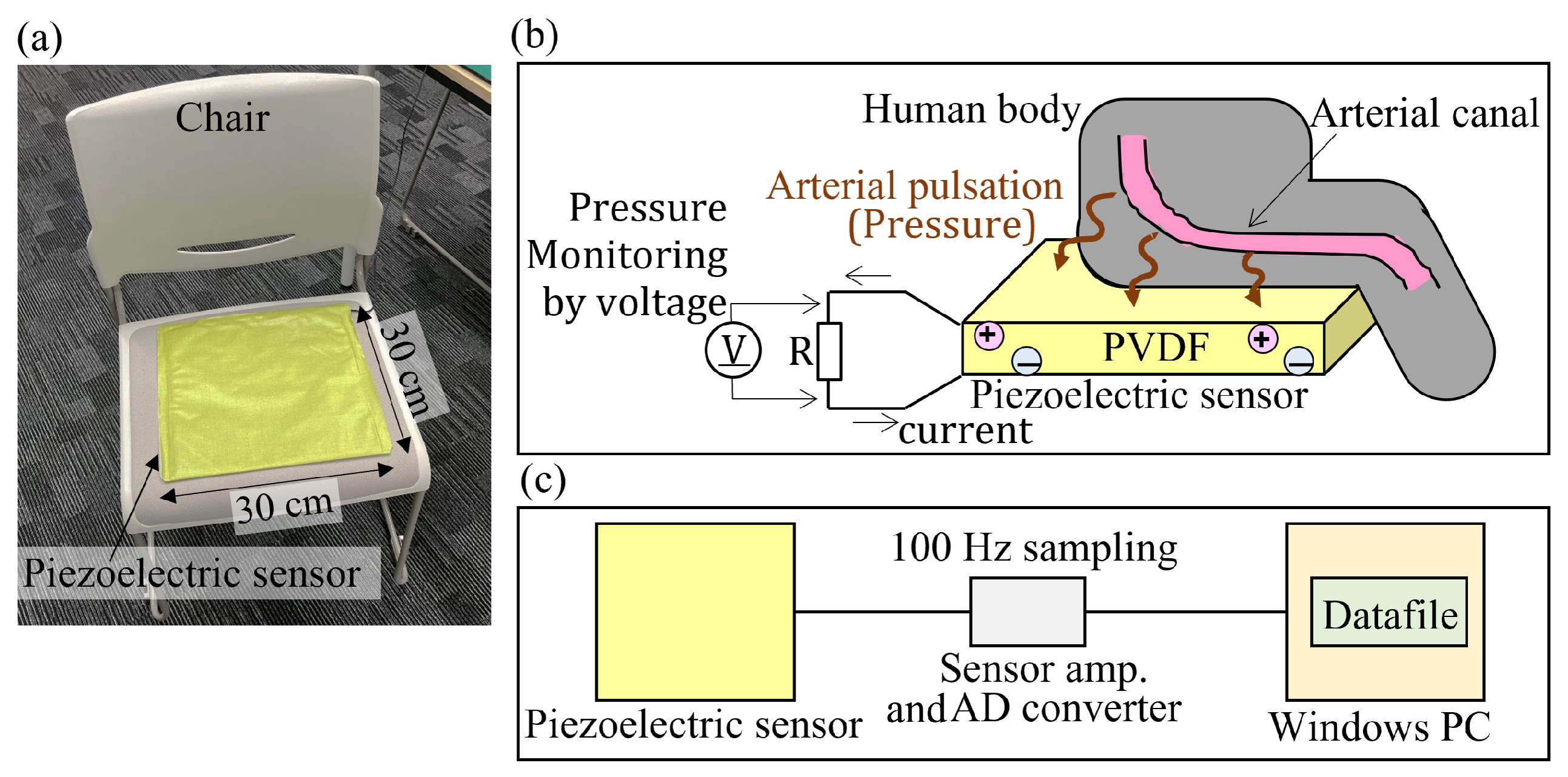 Sensors 24 02527 g001