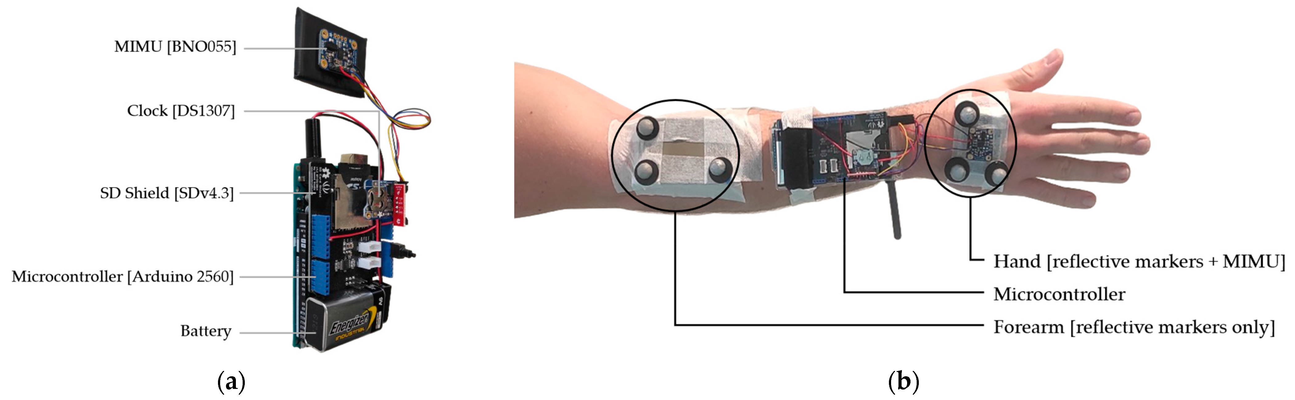 Sensors 24 02543 g001