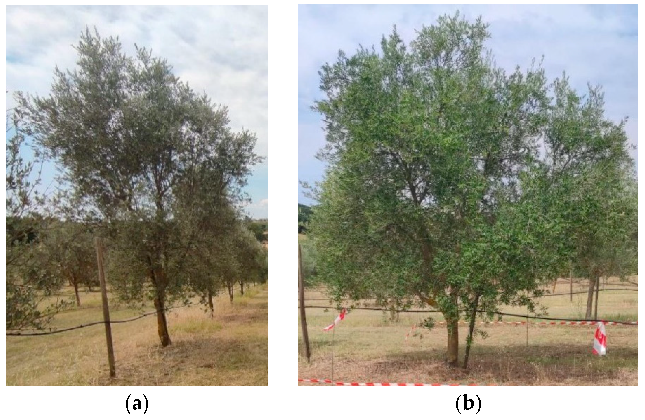 Sensors 24 02557 g001