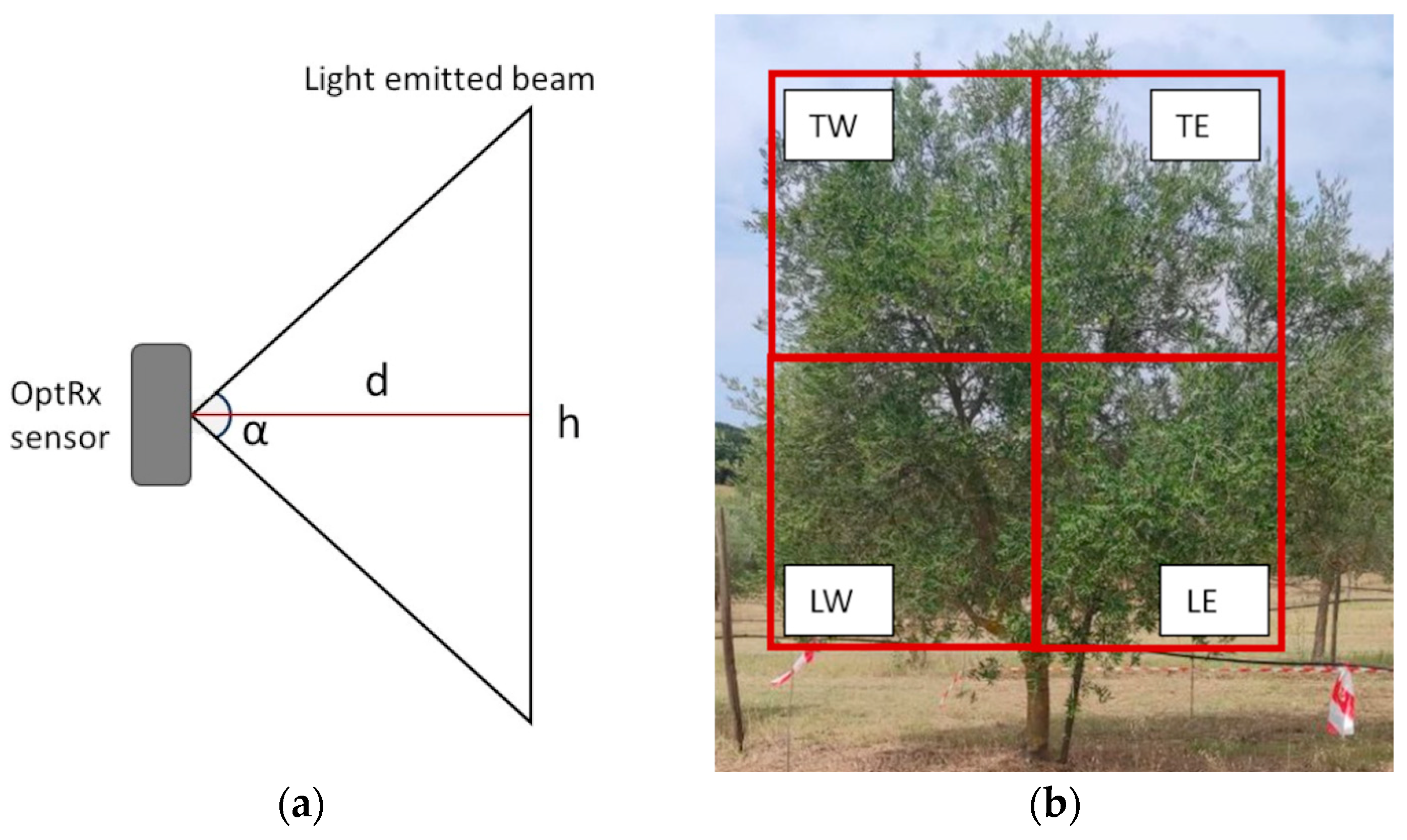 Sensors 24 02557 g002
