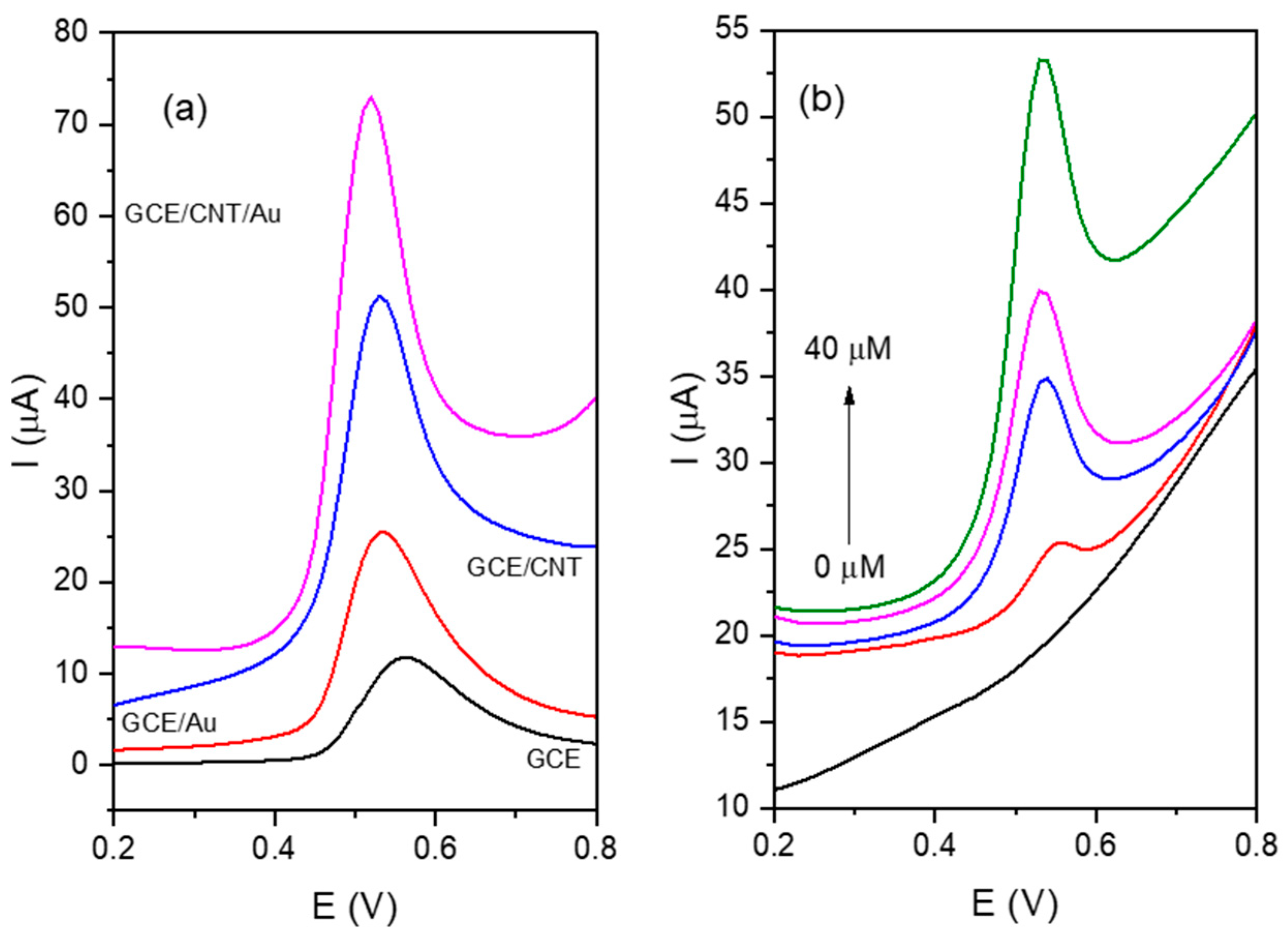 Sensors 24 02570 g003