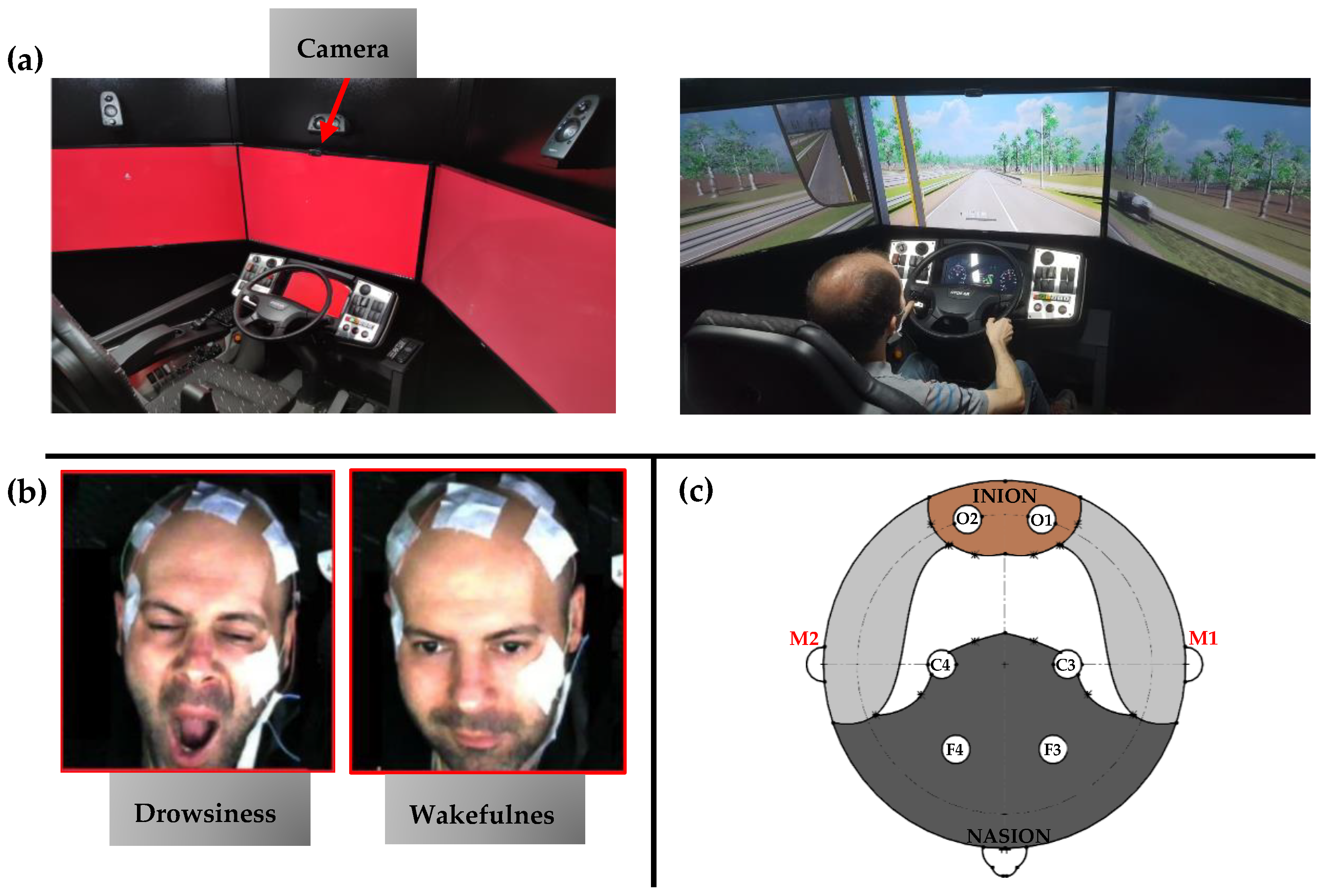 Sensors 24 02625 g001