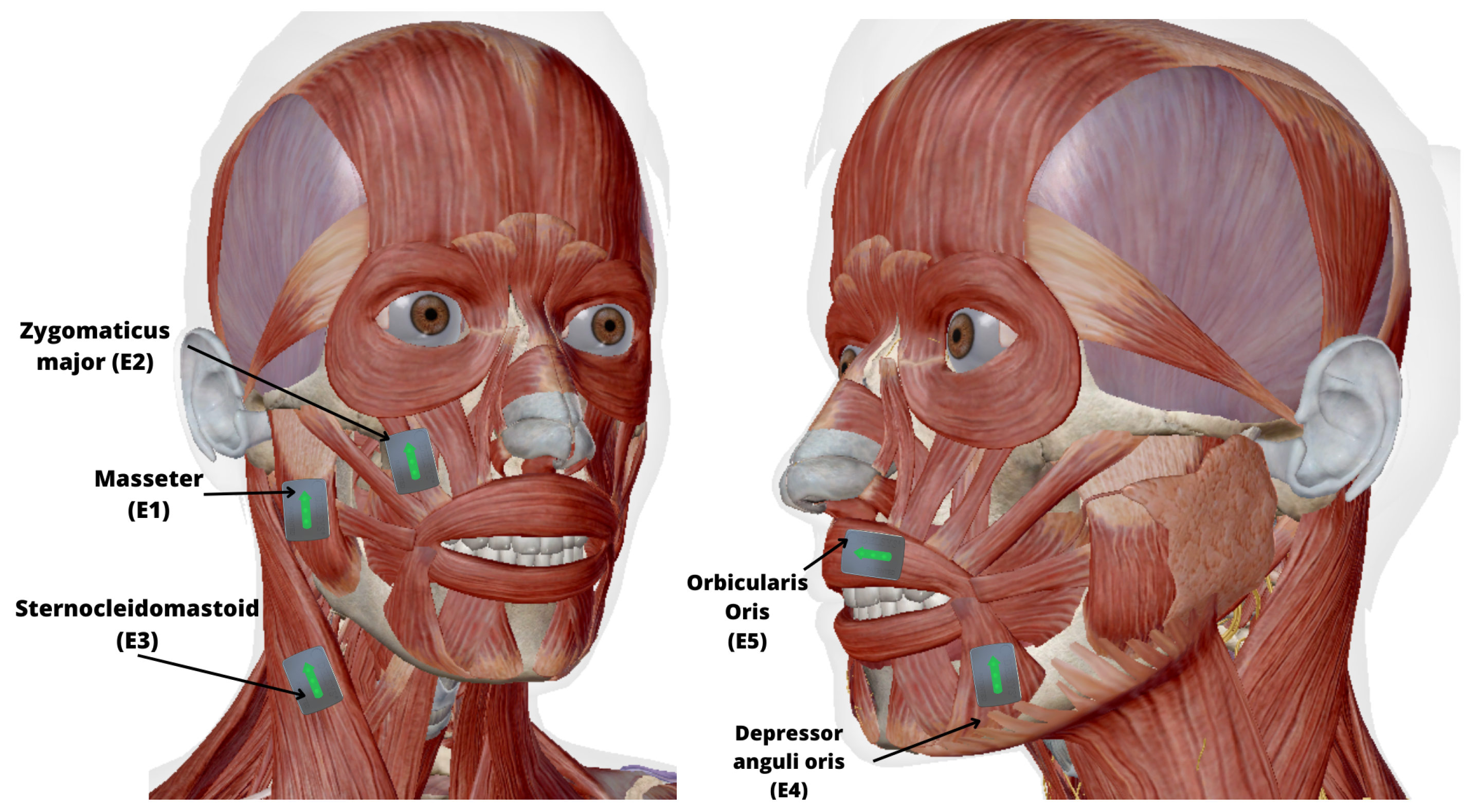 Sensors 24 02629 g002 Sensors 24 02629 g002
