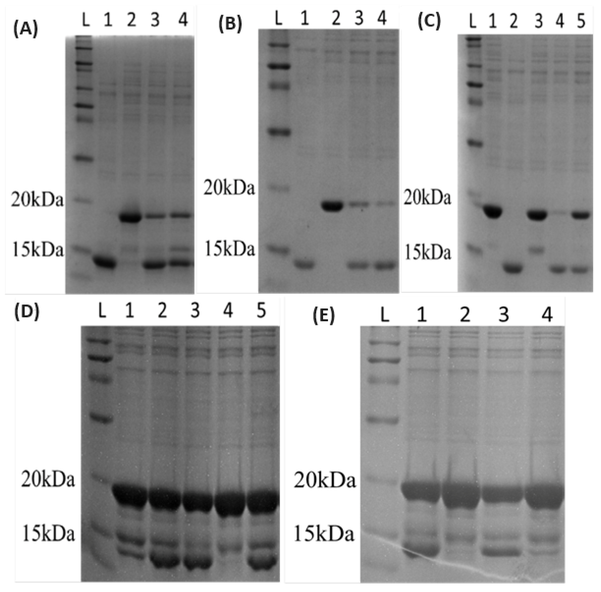 Sensors 24 02643 g001 Sensors 24 02643 g001