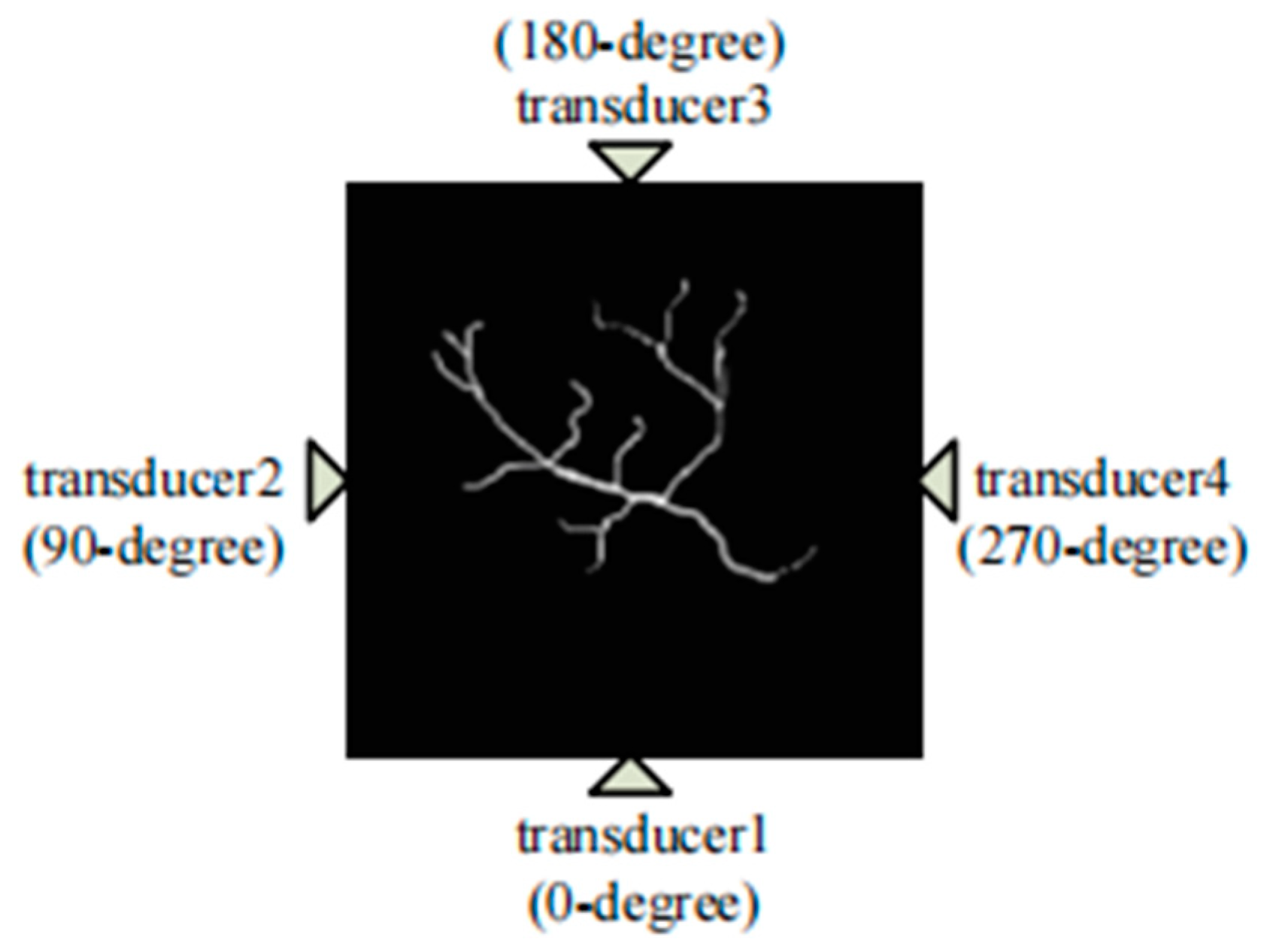 Sensors 24 02670 g013