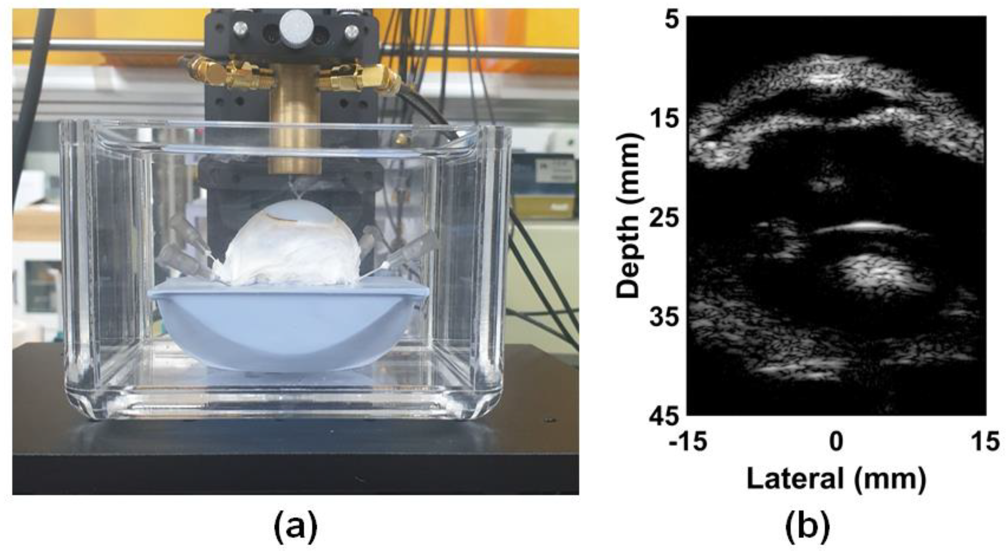 Sensors 24 02700 g007