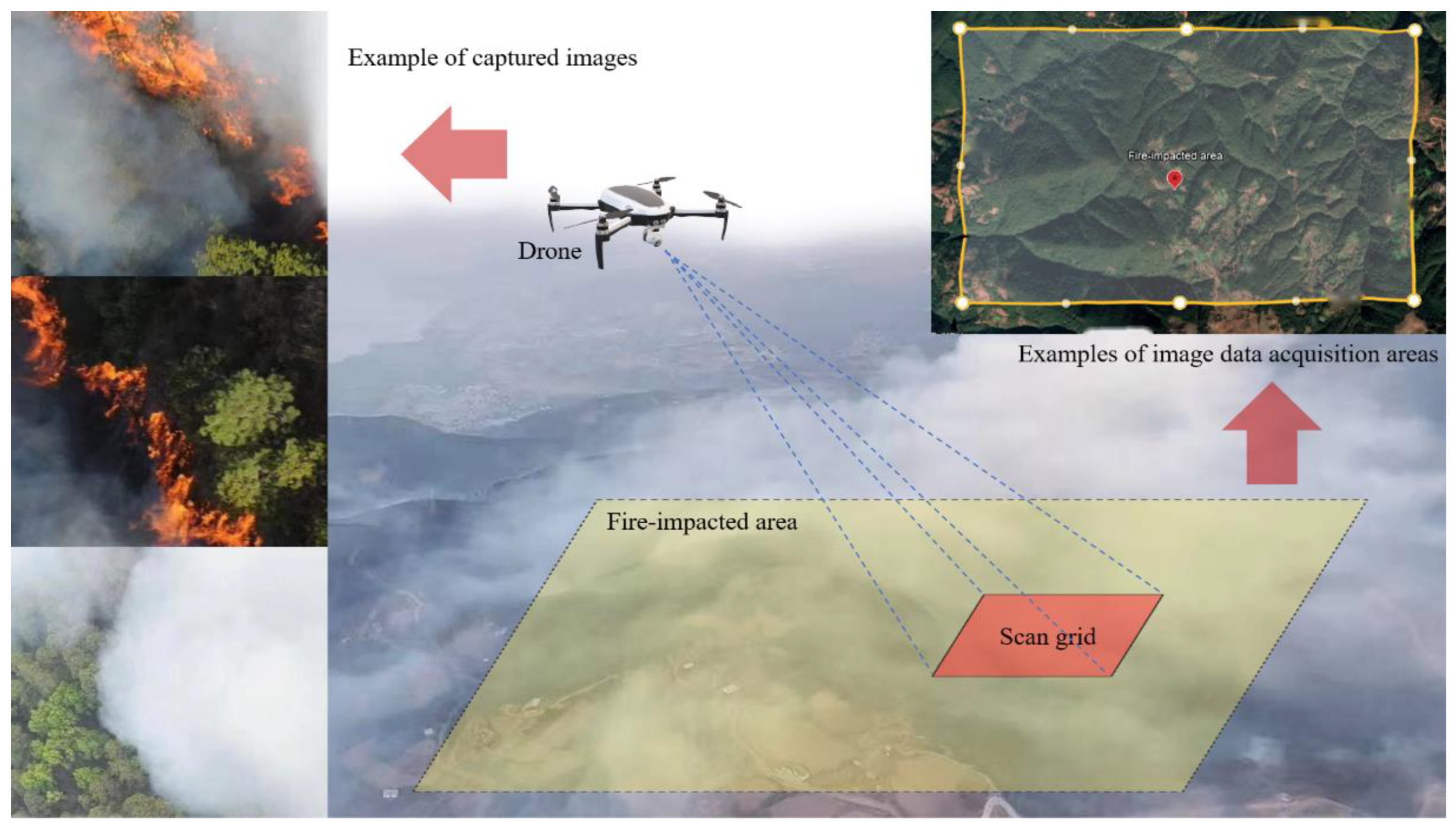 Sensors 24 02710 g007