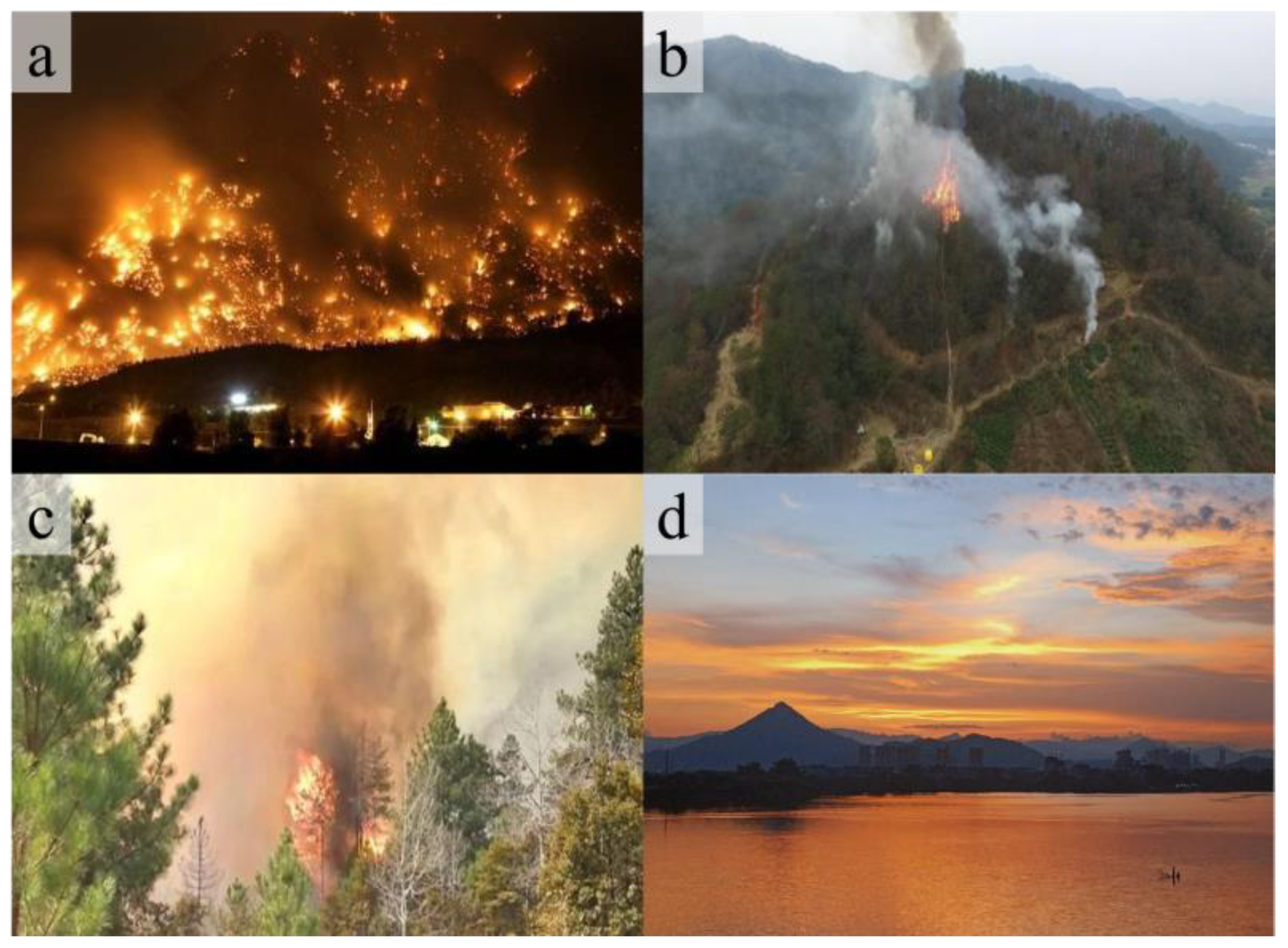 Sensors 24 02710 g008