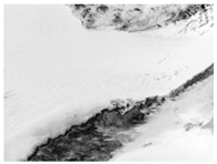 Sensors 24 02731 i030