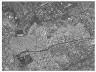 Sensors 24 02731 i040