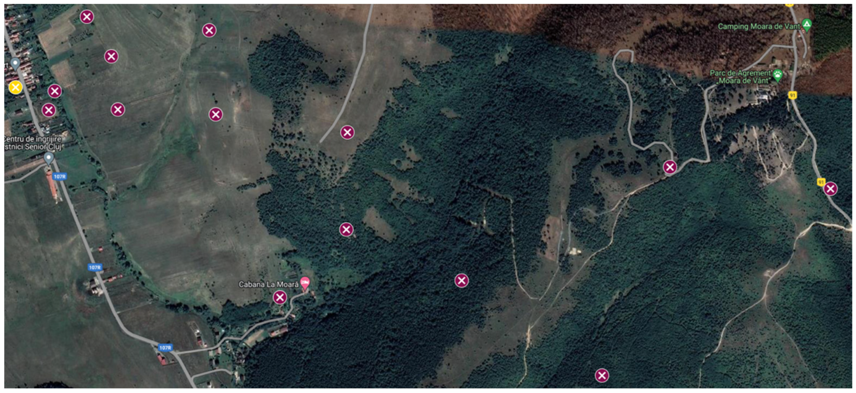 Sensors 24 02789 g013